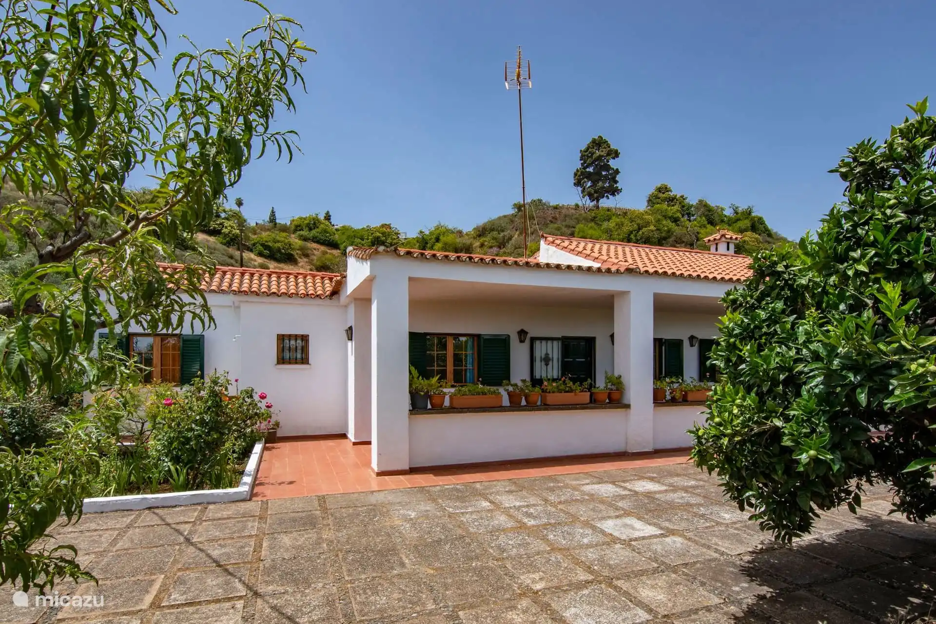 Vista de la casa desde el patio, entre naranjos.