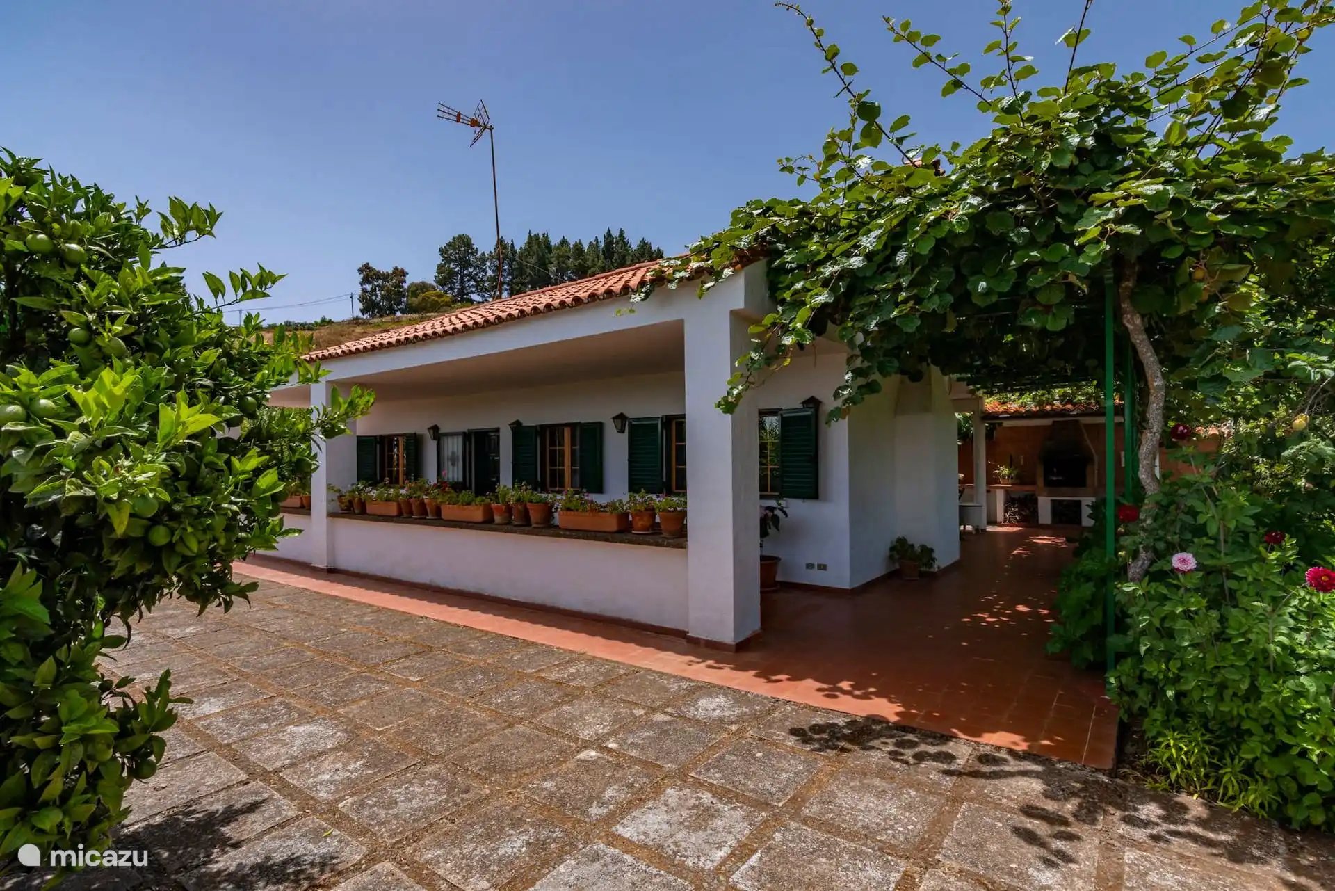 Patio empedrado y el corredor de la casa cubierto por el parral.