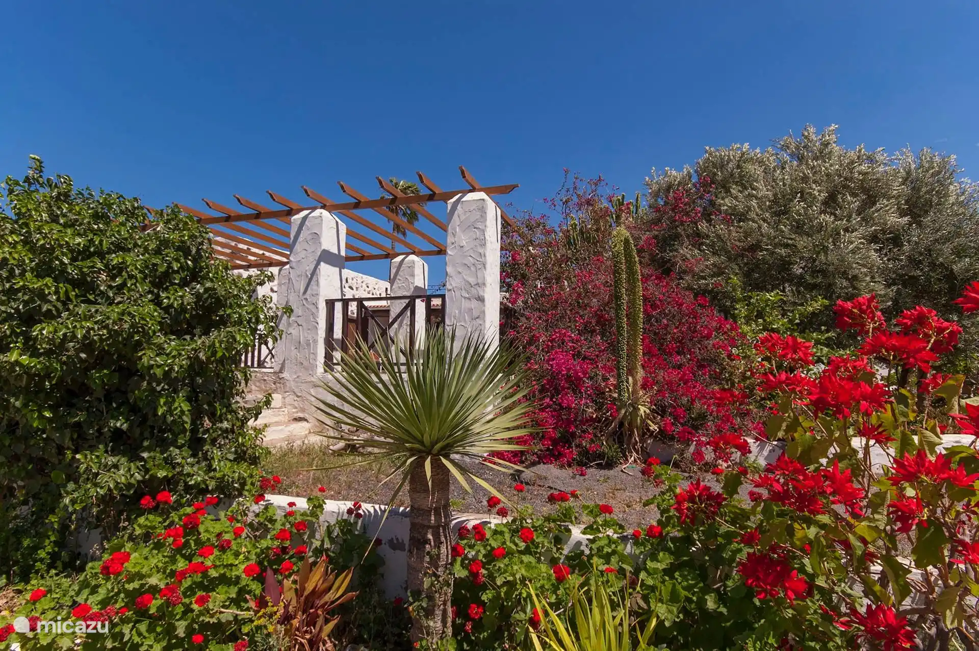 Jardín con buganvillas, cactus y la pérgola al fondo.