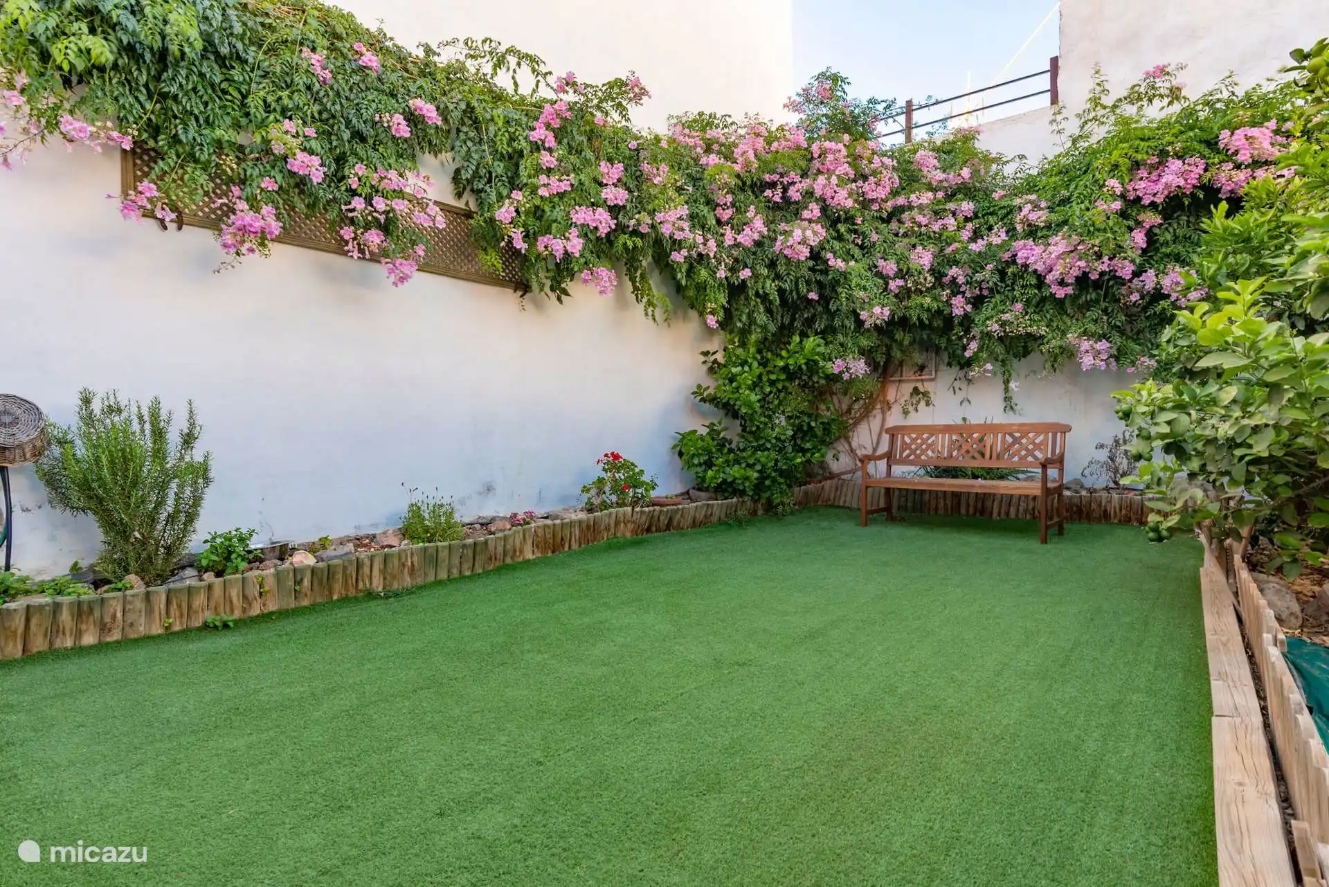 Otra vista del jardín, con el banco y la buganvilla sobre el muro.
