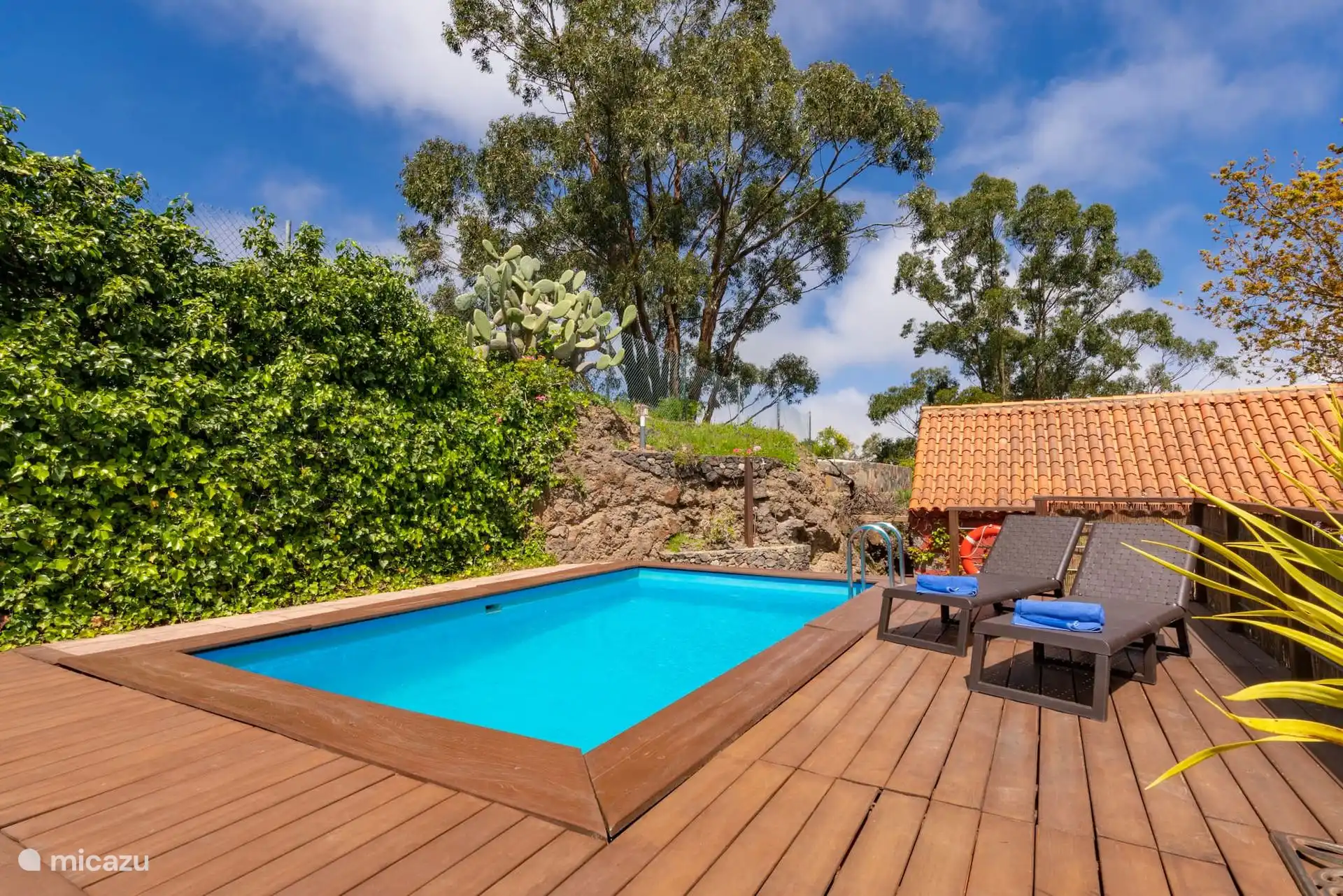 La piscina y la tarima de madera desde arriba.