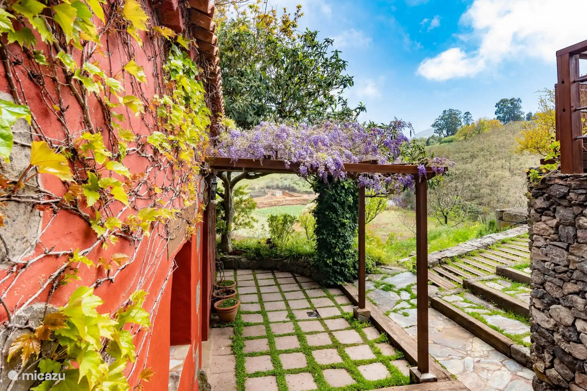 Pérgola con glicinia en flor junto a la casa.