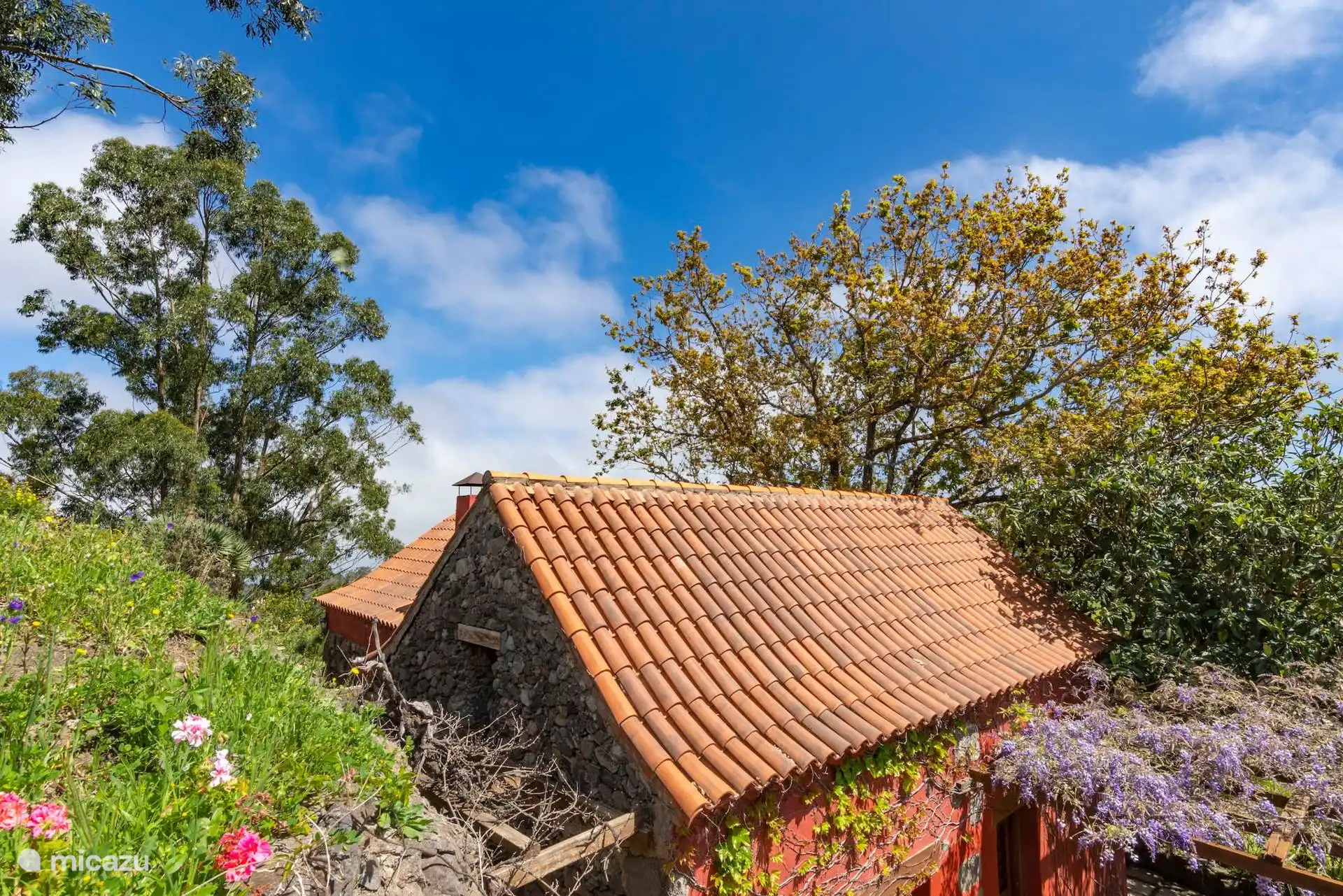 El tejado de la casa entre la vegetación del barranco.
