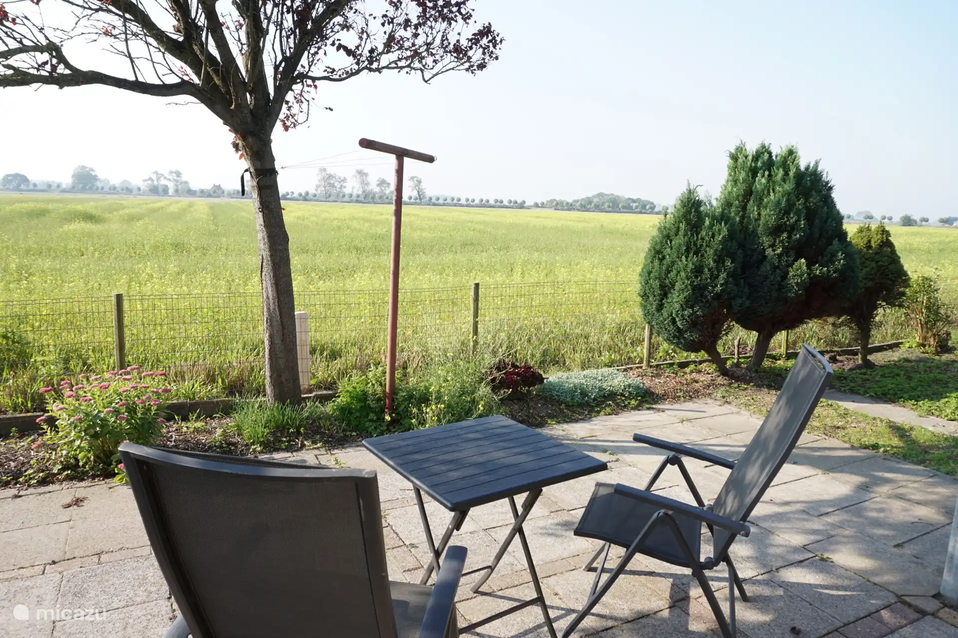 Terraza - vistas
