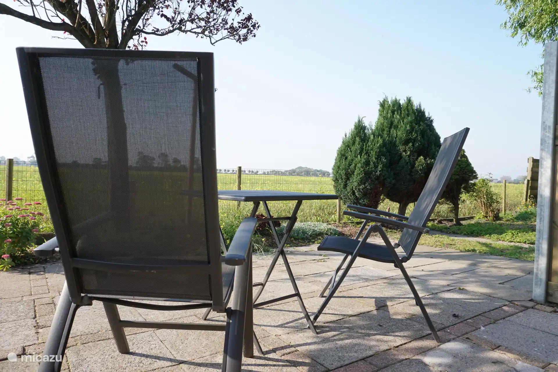 Terraza - vistas