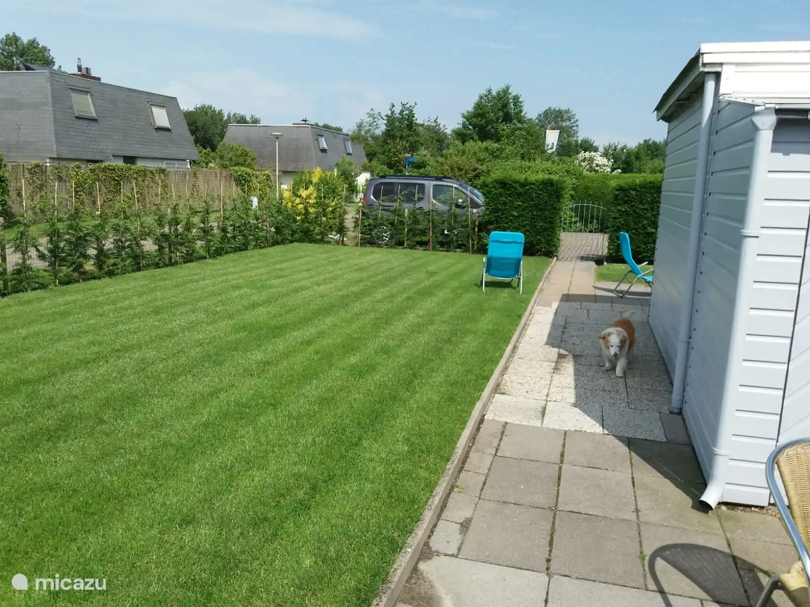Tuin