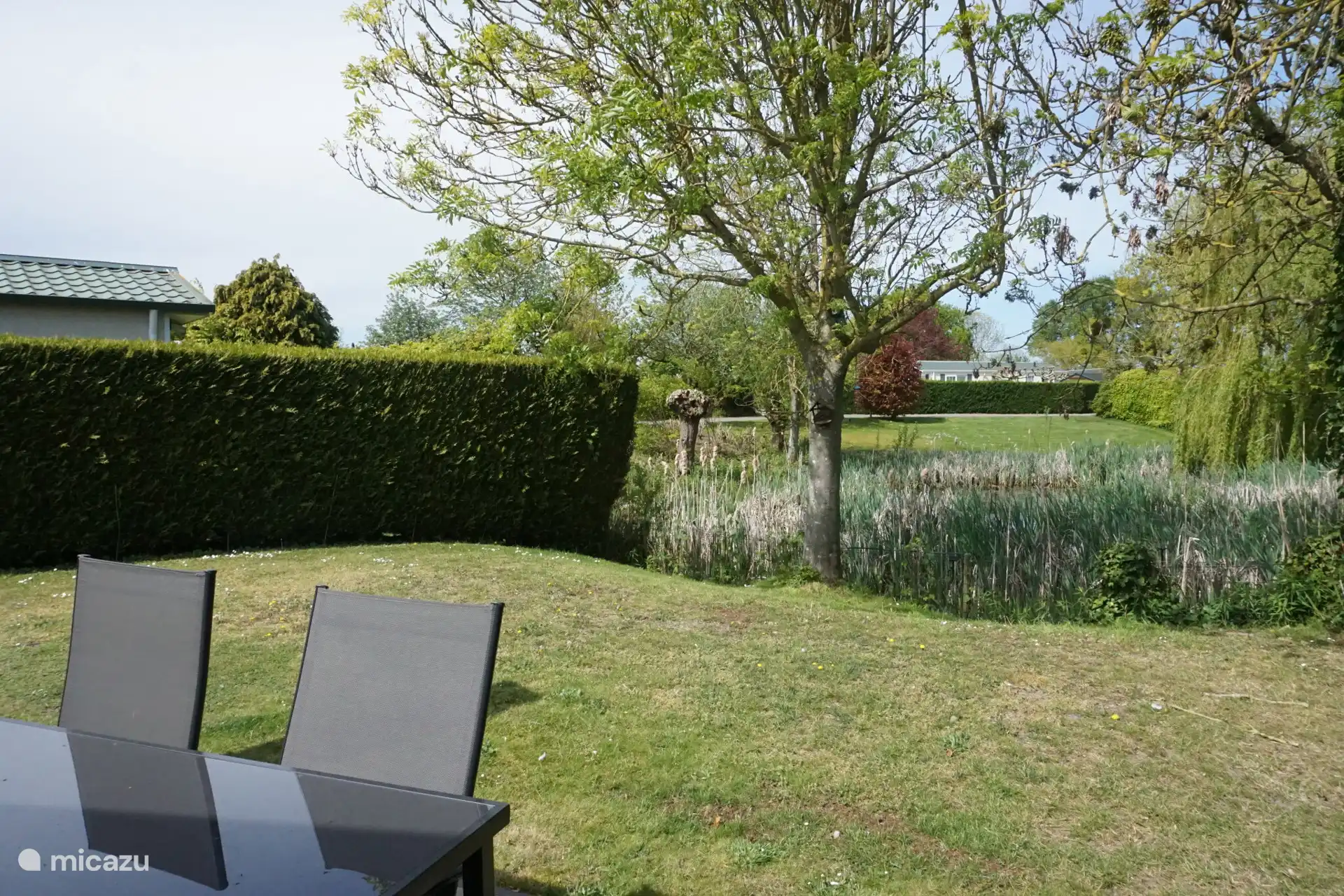 Tuin