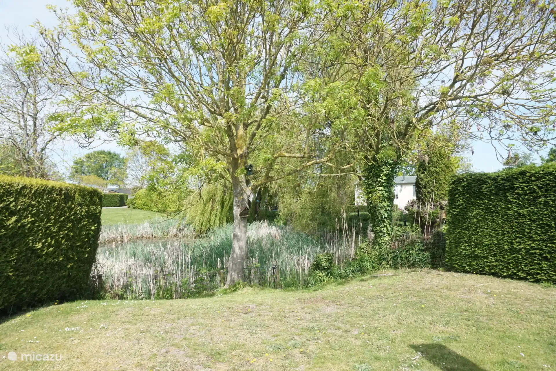 Tuin