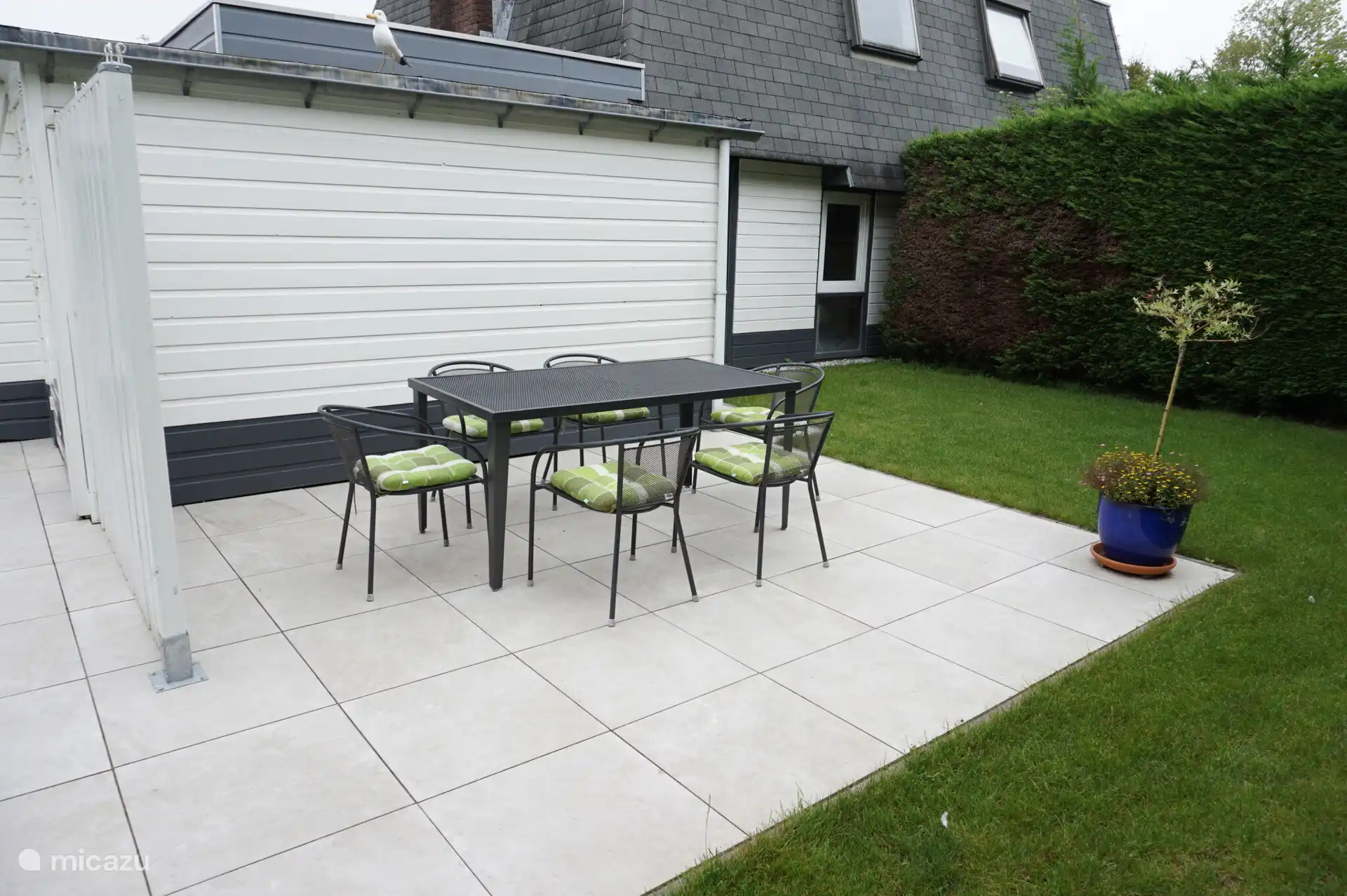 Terras achterzijde