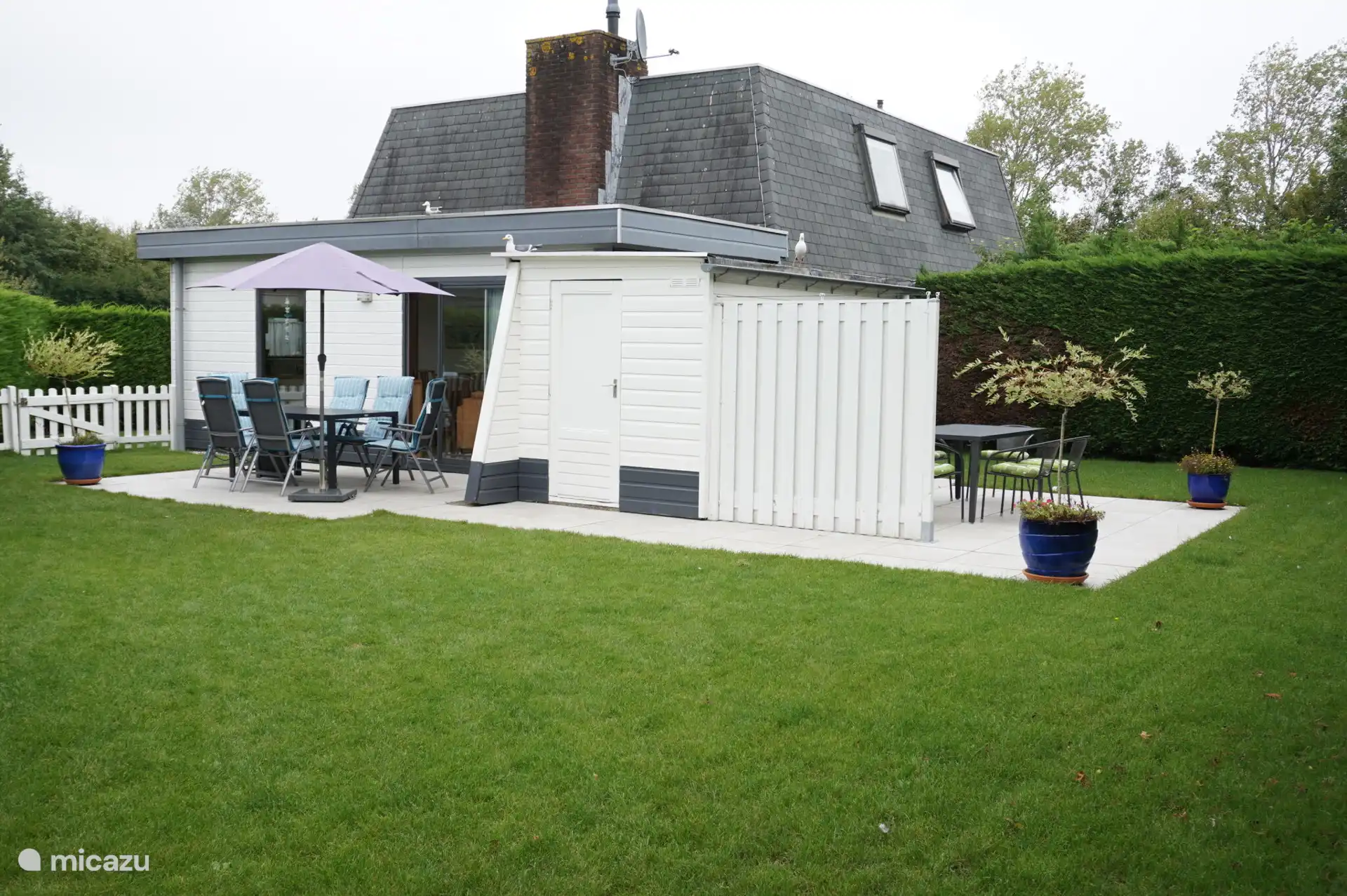 Tuin met terras