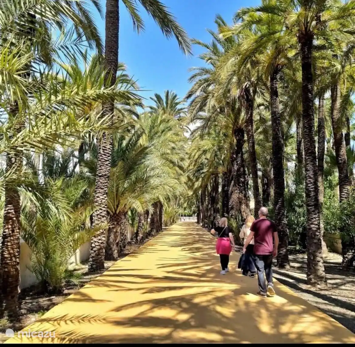Palmentuin Elche