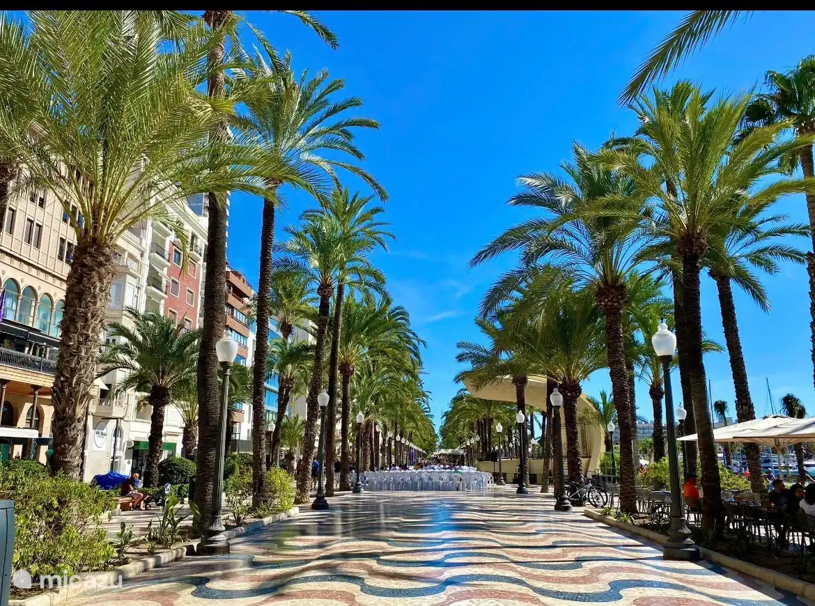 Alicante