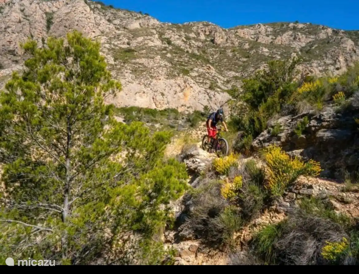 Mountainbike in de omgeving 