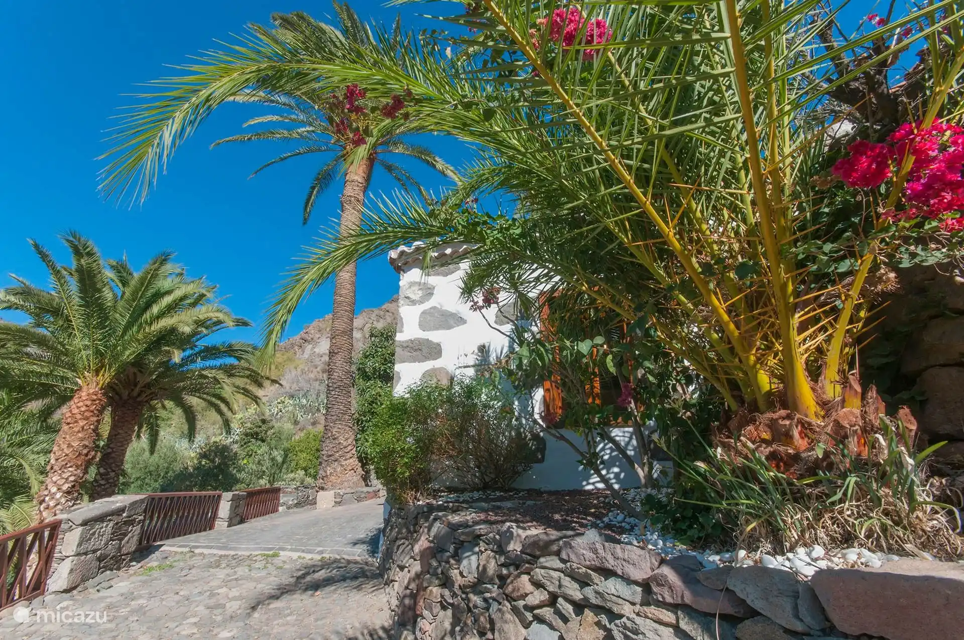 Garten mit Palmen und Bougainvillea neben dem Haus.
