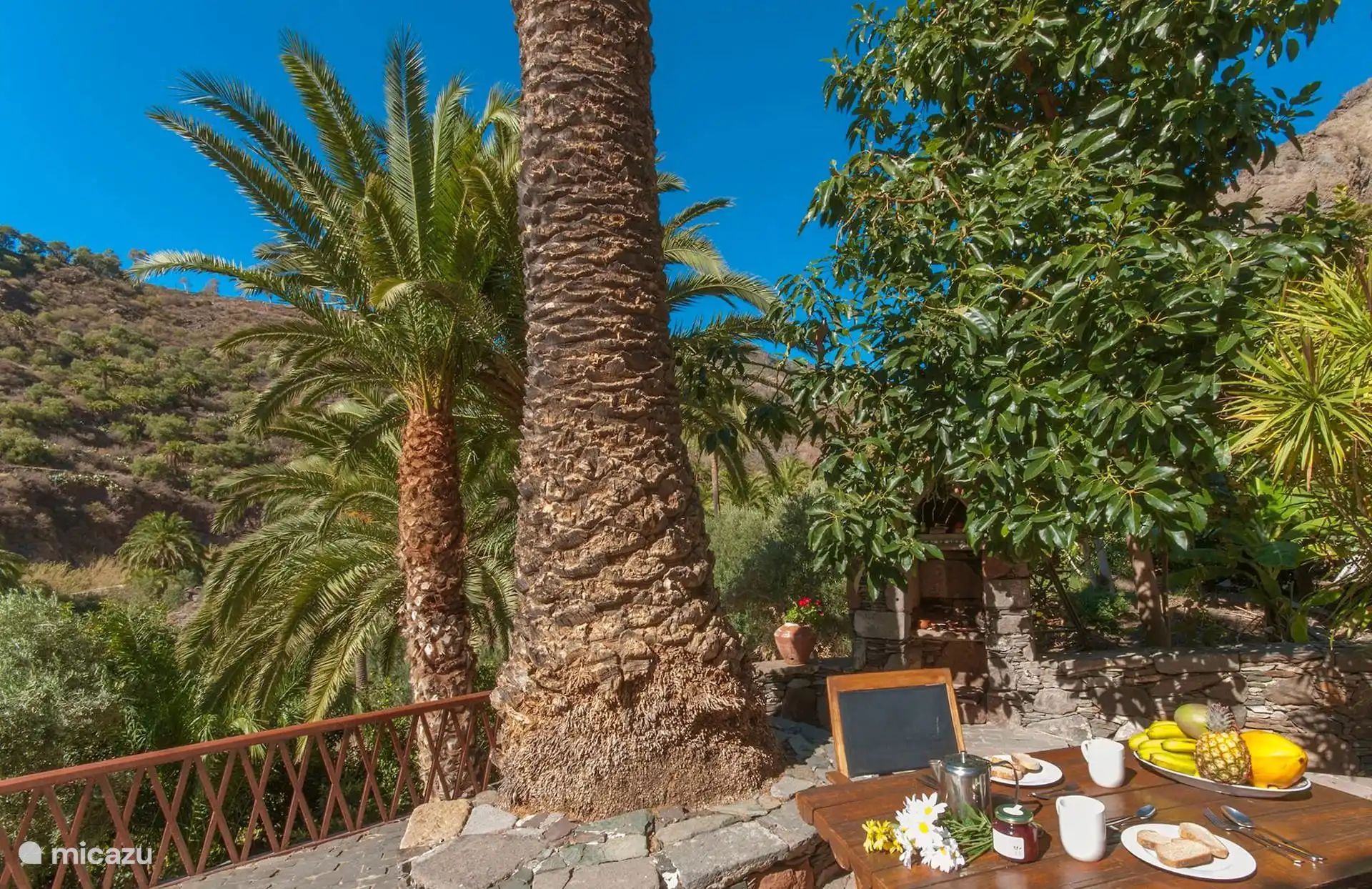 Frühstückstisch auf der Terrasse, neben den Palmen.