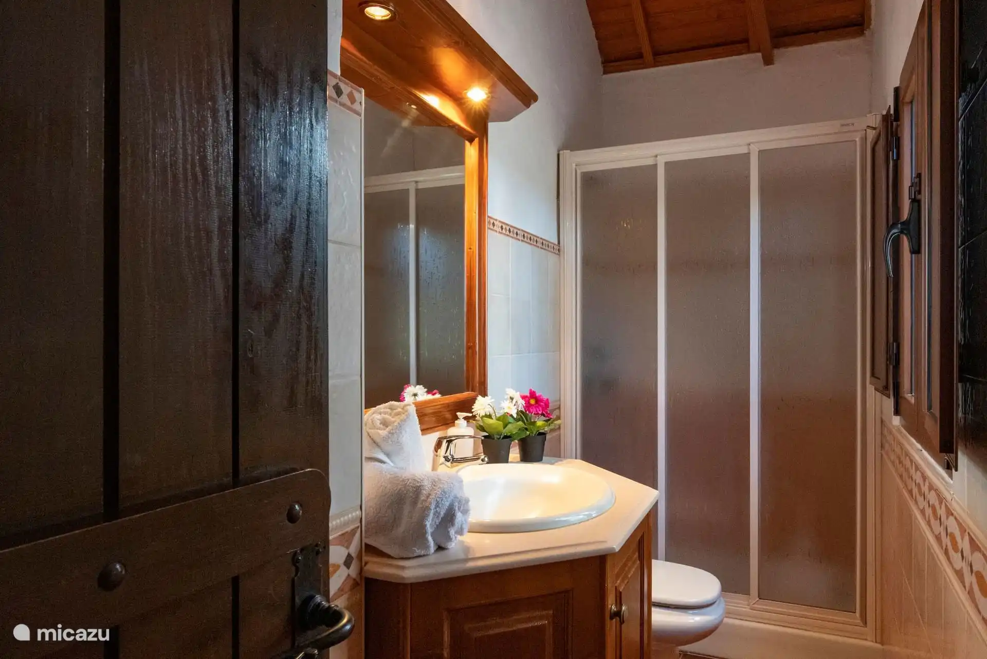 Badezimmer mit Duschgitter und Waschbecken auf Möbeln.