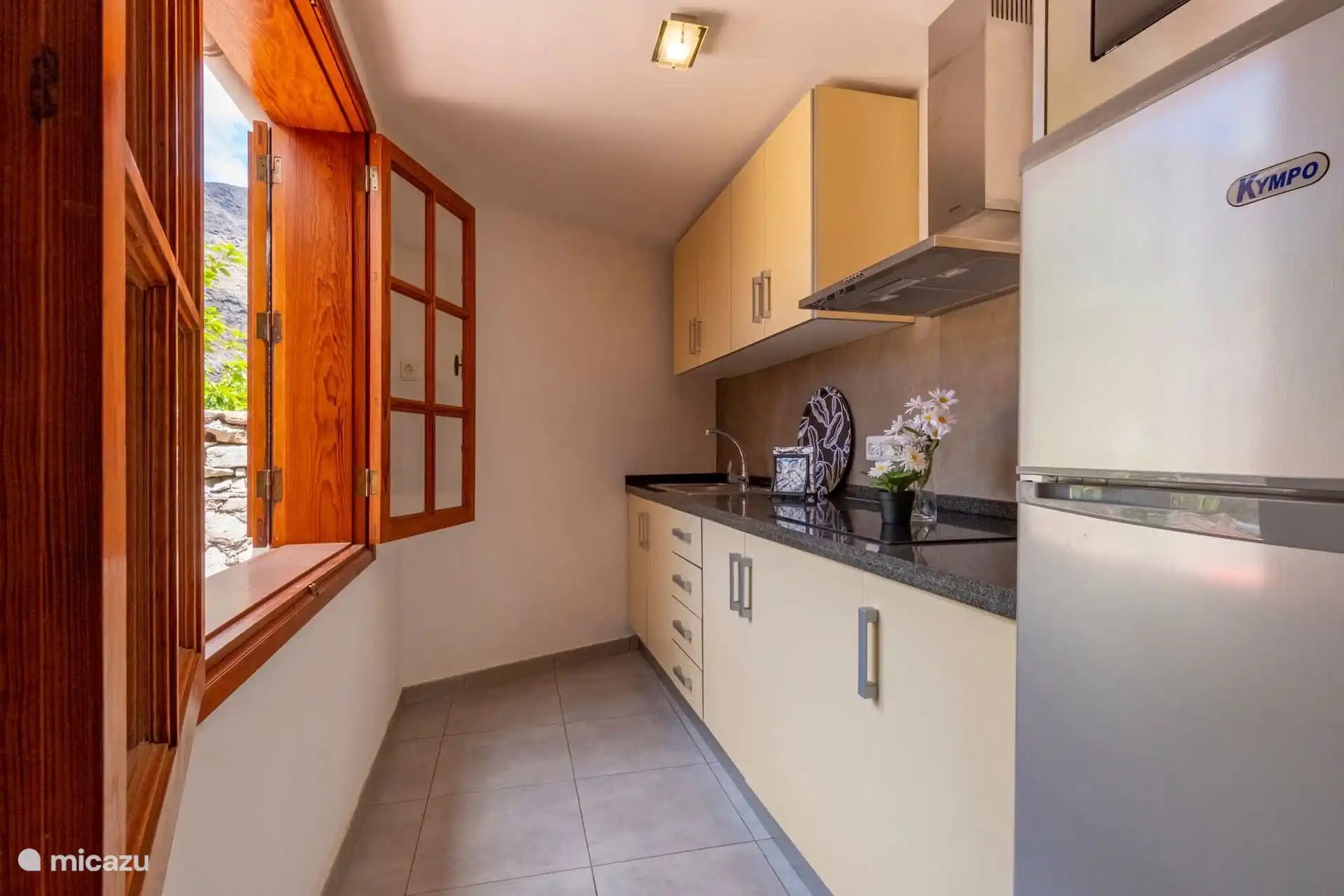 Kitchen with ceramic hob, hood, fridge and granite worktop.