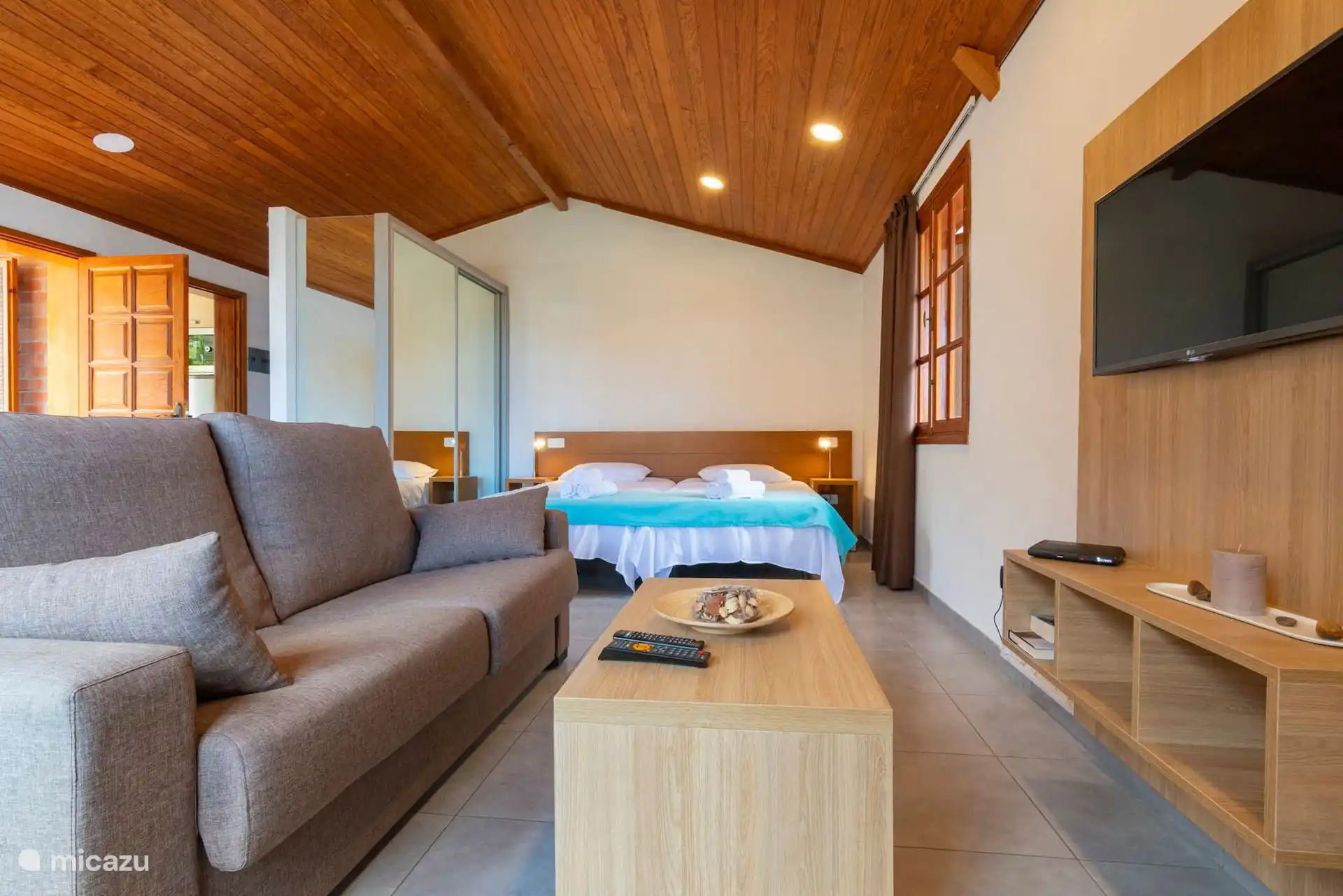 Living room with sofa and television; in the background, the sleeping area.