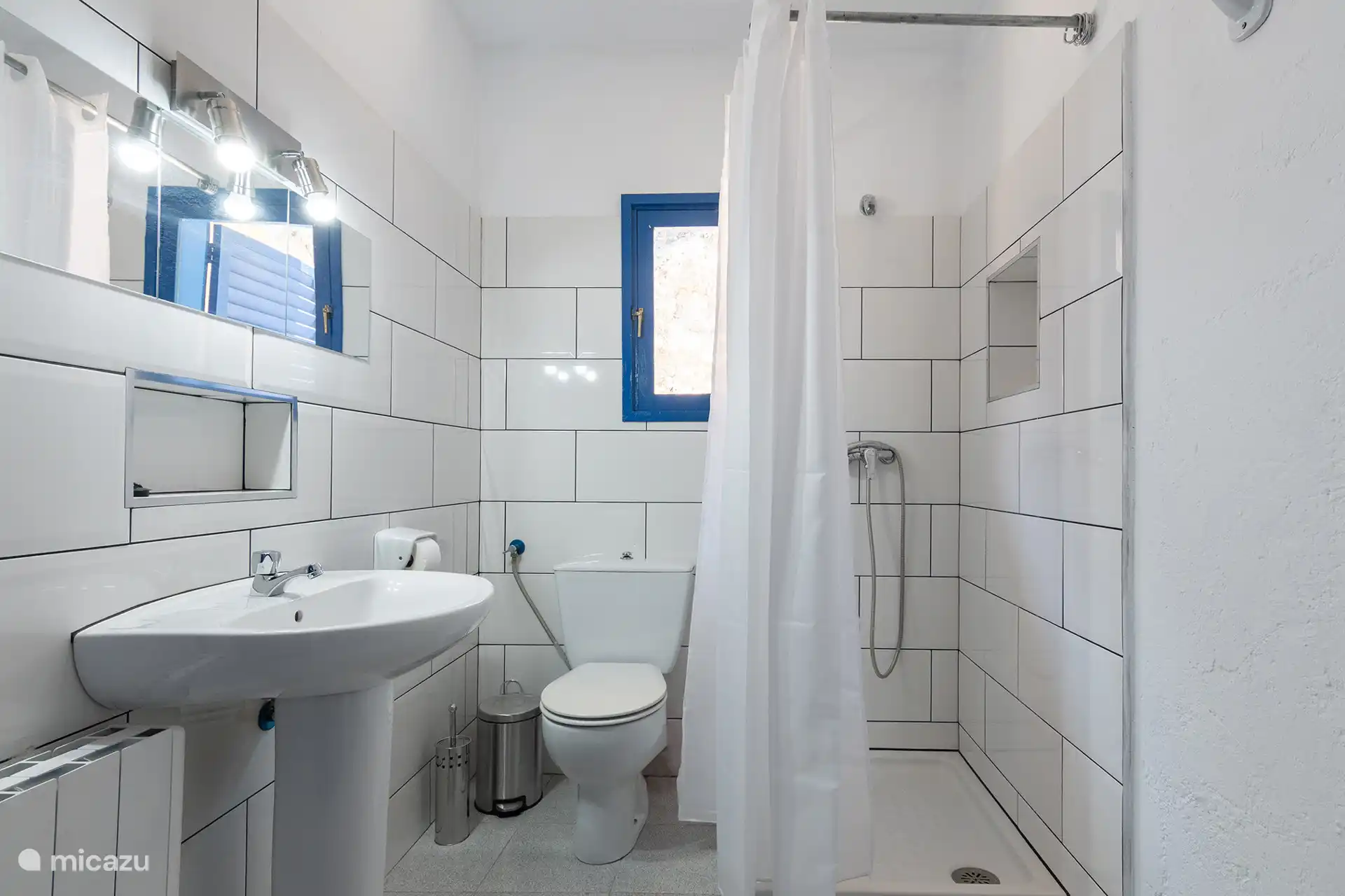 Badkamer met douche, wastafel en raam.