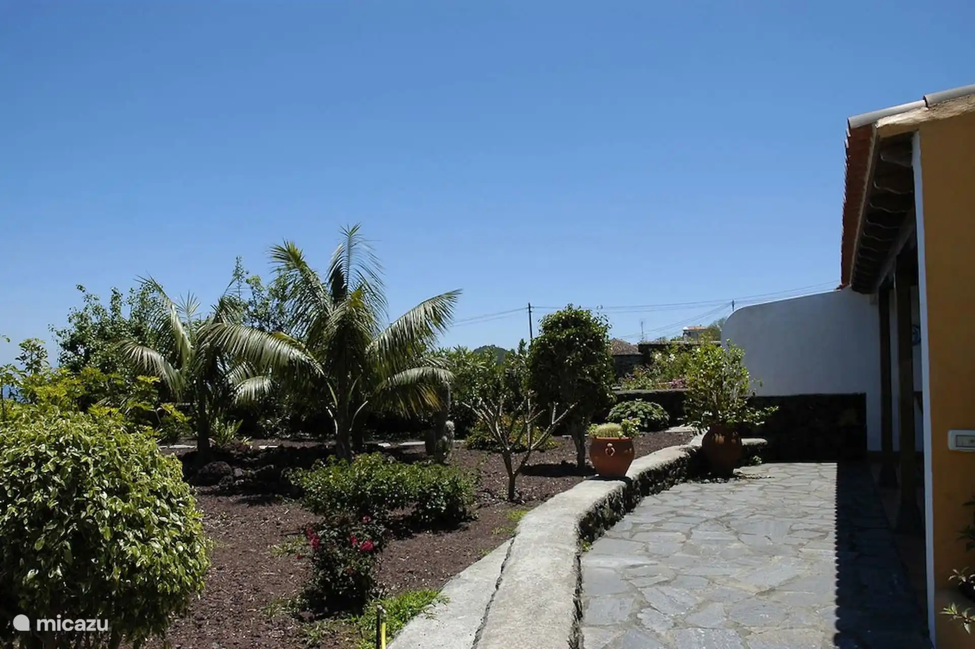 Palmtuin naast het huis; Het geplaveide pad loopt naar de zee.