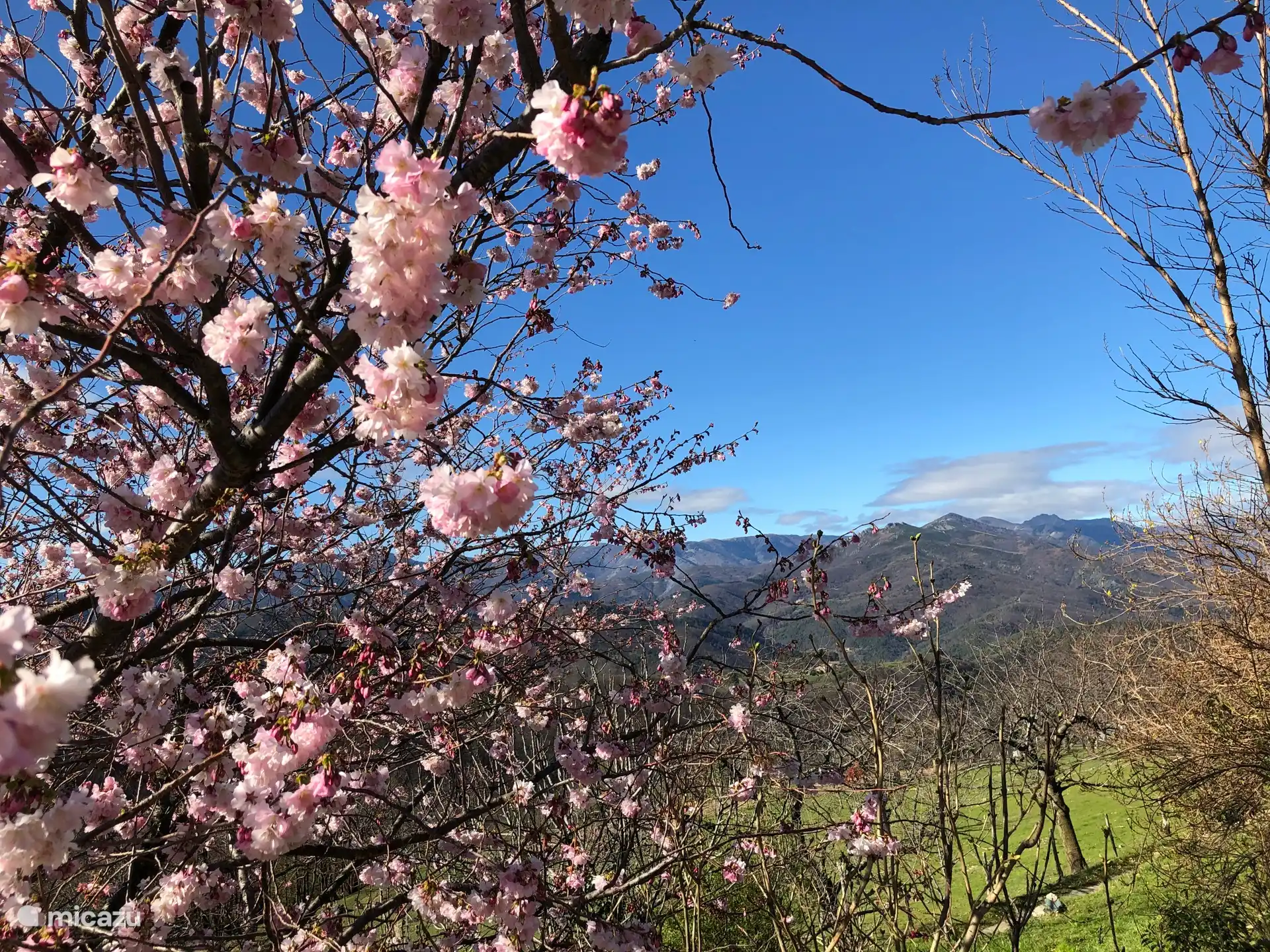 Frühling!