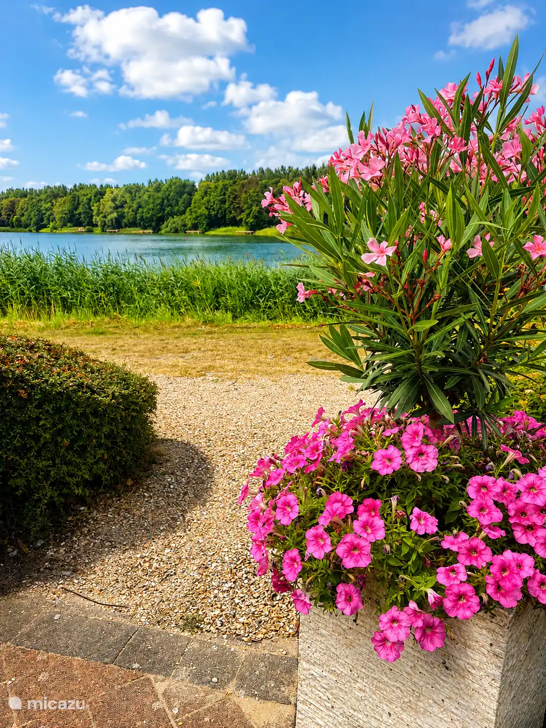 Uitzicht vanaf het terras van Brasserie Stelleplas. 