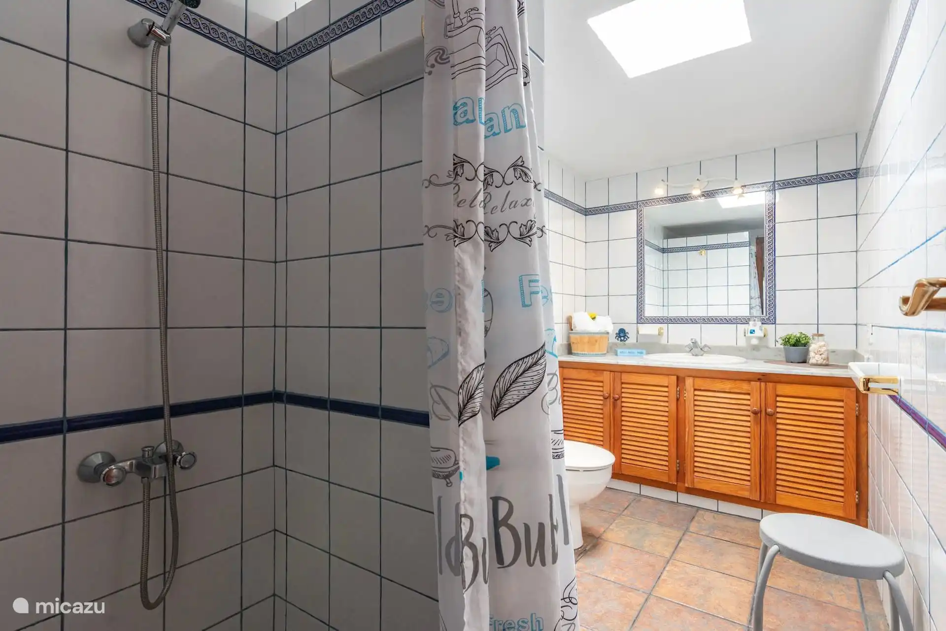 La même salle de bain avec la douche et le rideau intégrés, et la lucarne qui donne la lumière naturelle.