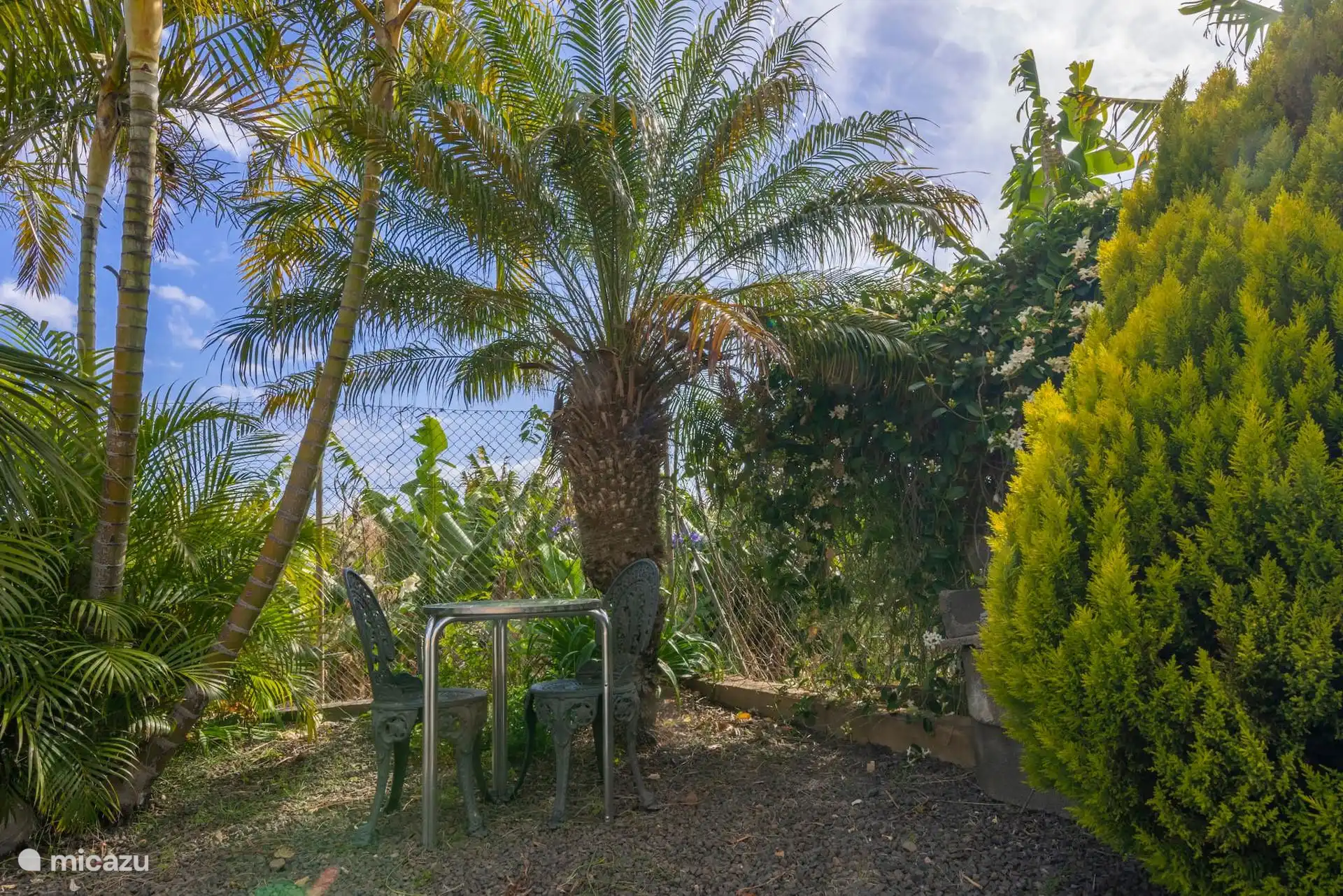 Garden corner with table and two metal chairs under the palm trees, next to the hedge and jasmine.