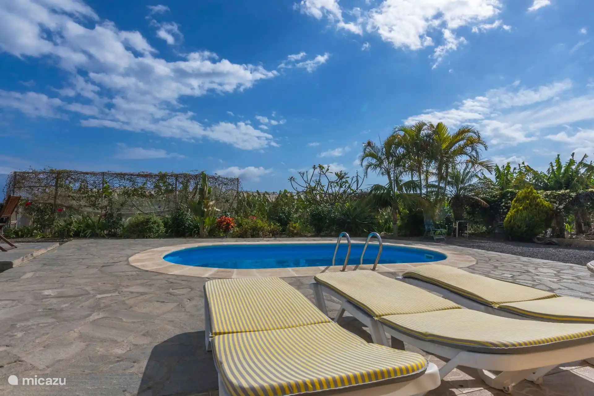 The pool and loungers from the other side; around, palm trees, banana trees and hedges.