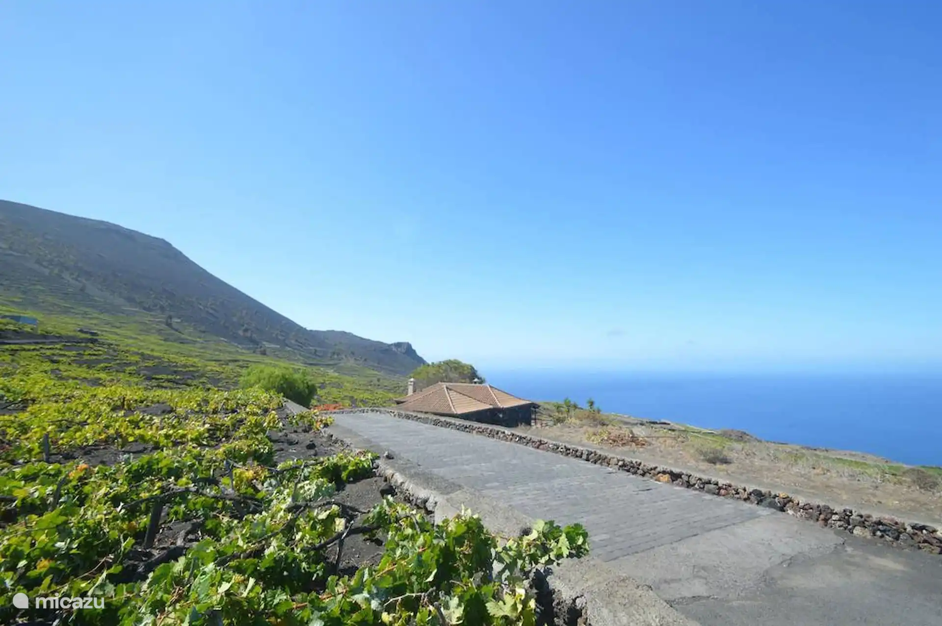 The concrete path that goes down to the house, between vines planted on picón, with the volcanic slope on one side and the sea on the other.