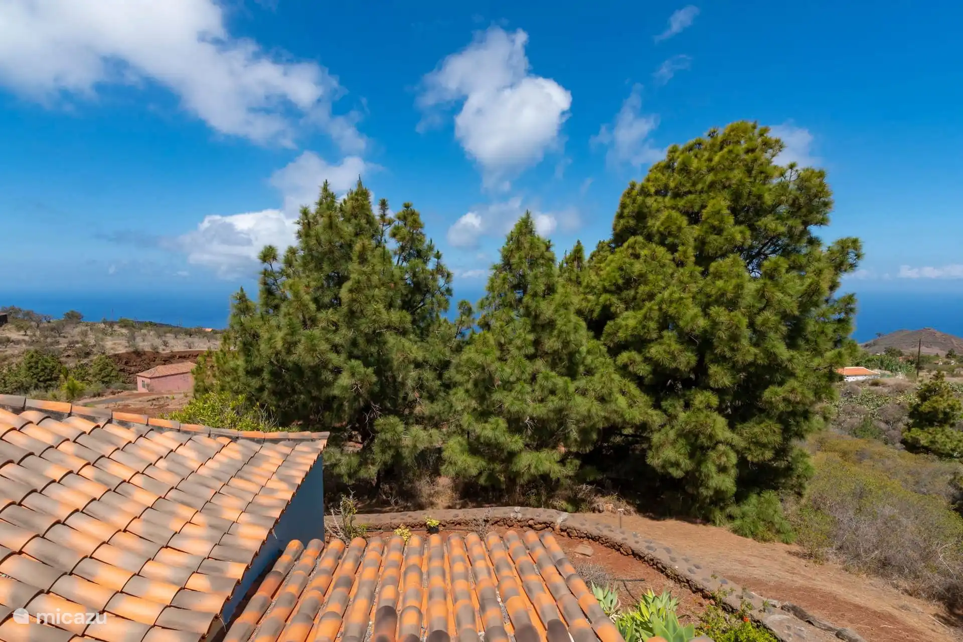 From the rooftop, above the tiled roofs: Canarian pines, scattered houses and the sea on the horizon.