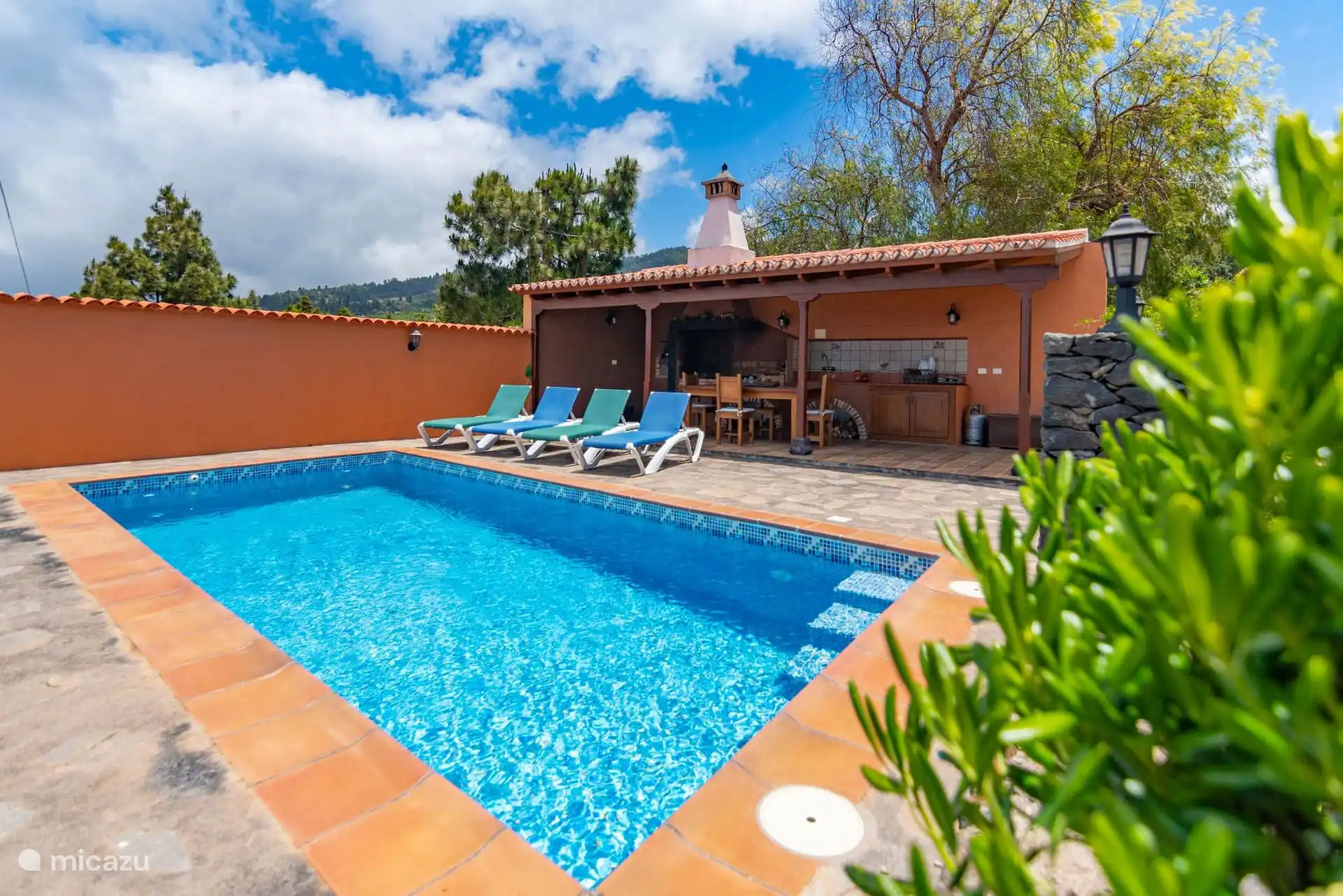 The swimming pool and, in the background, the covered outdoor kitchen with its fireplace; behind, the pines and the mountain.