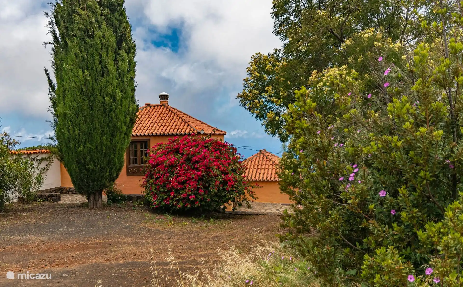 The house between the cypress and bougainvillea in bloom, seen from the dirt road.