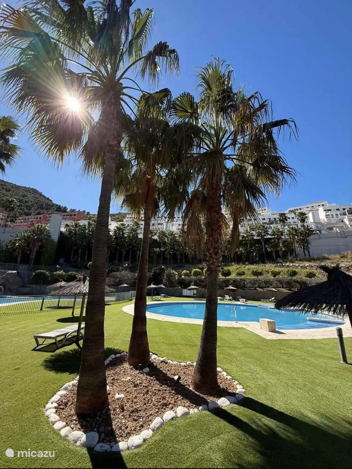 Communal swimming pool