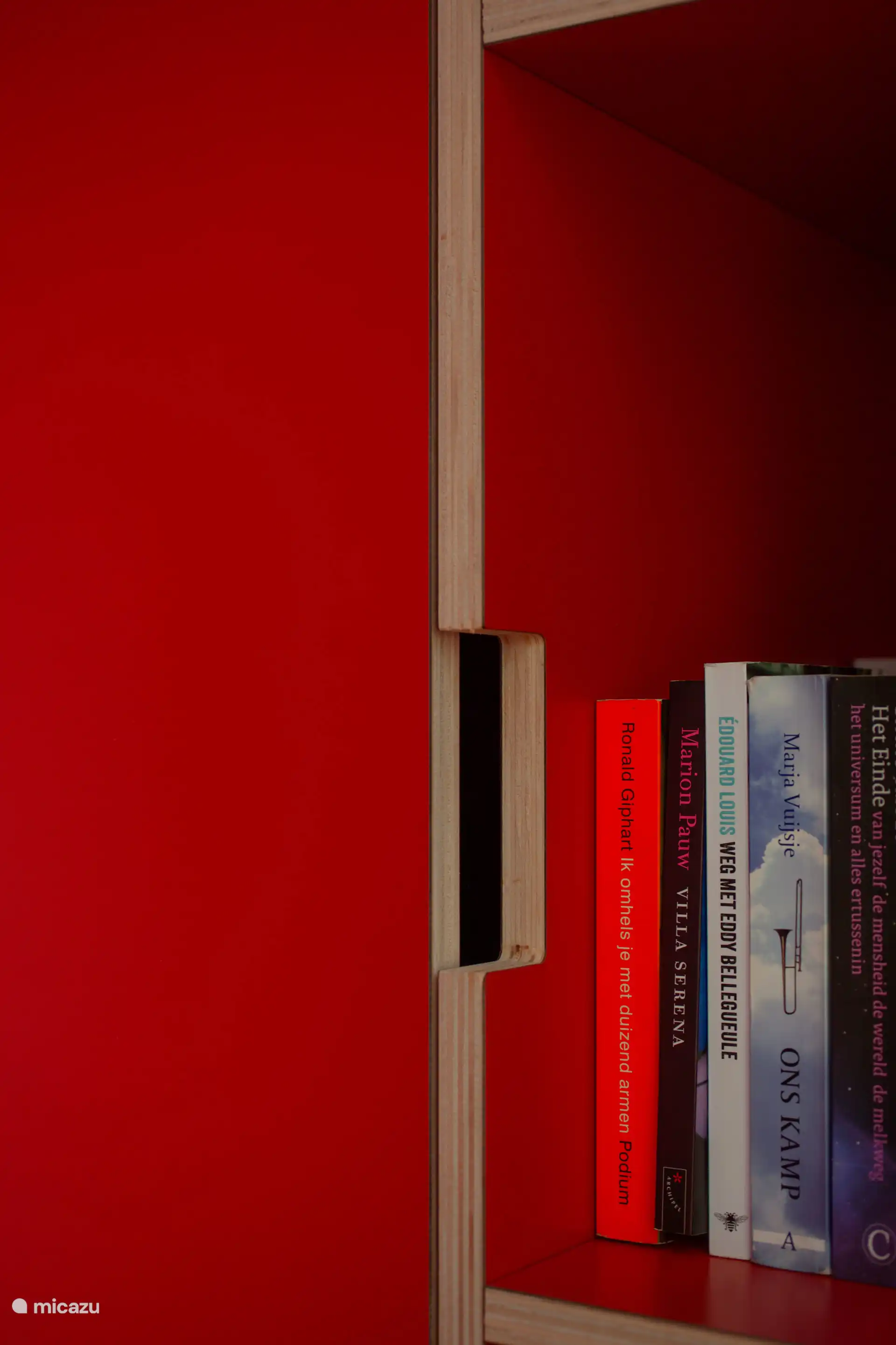 Kasten vol met boeken om te lezen