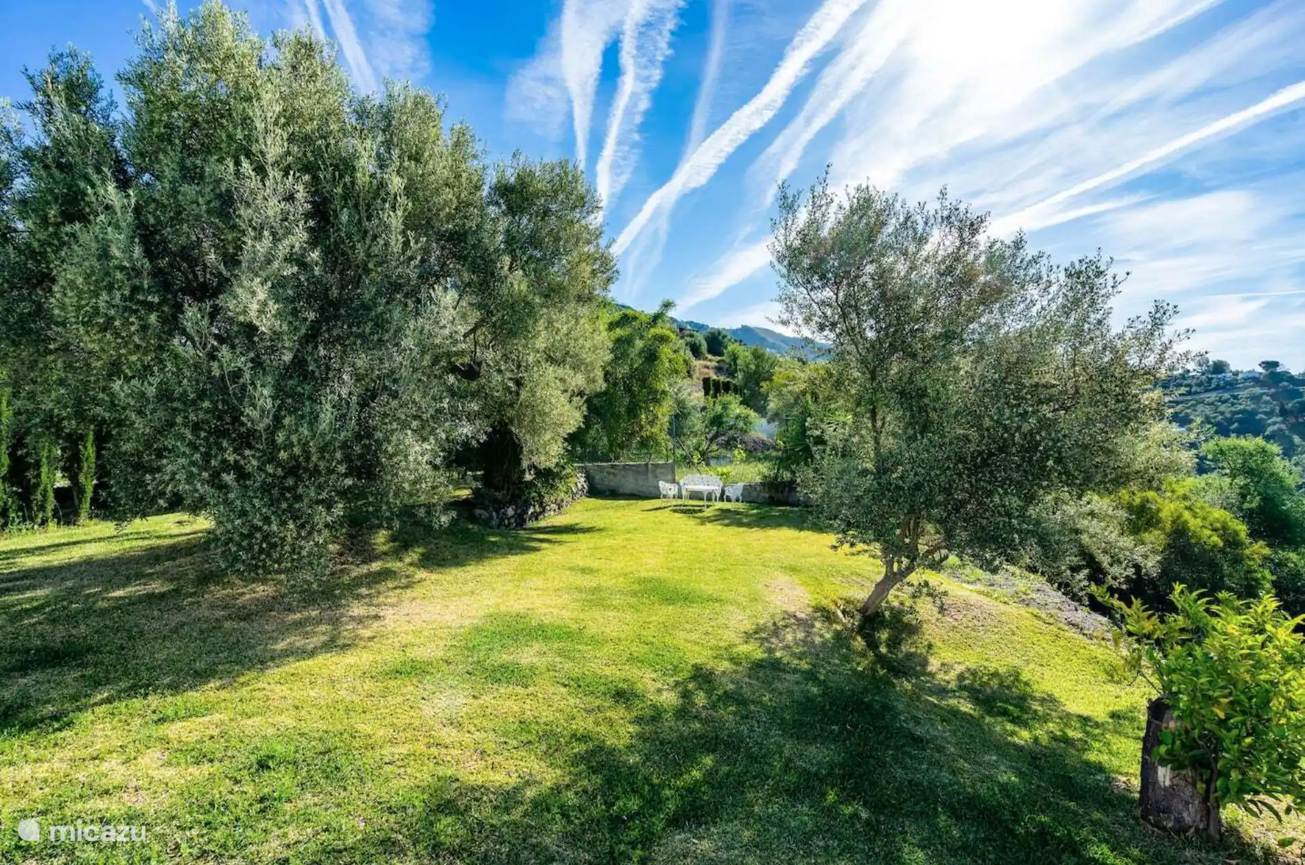 El interior es increíble: los olivos crecen en las colinas, las carreteras serpentean por el paisaje verde y ofrecen vistas preciosas.