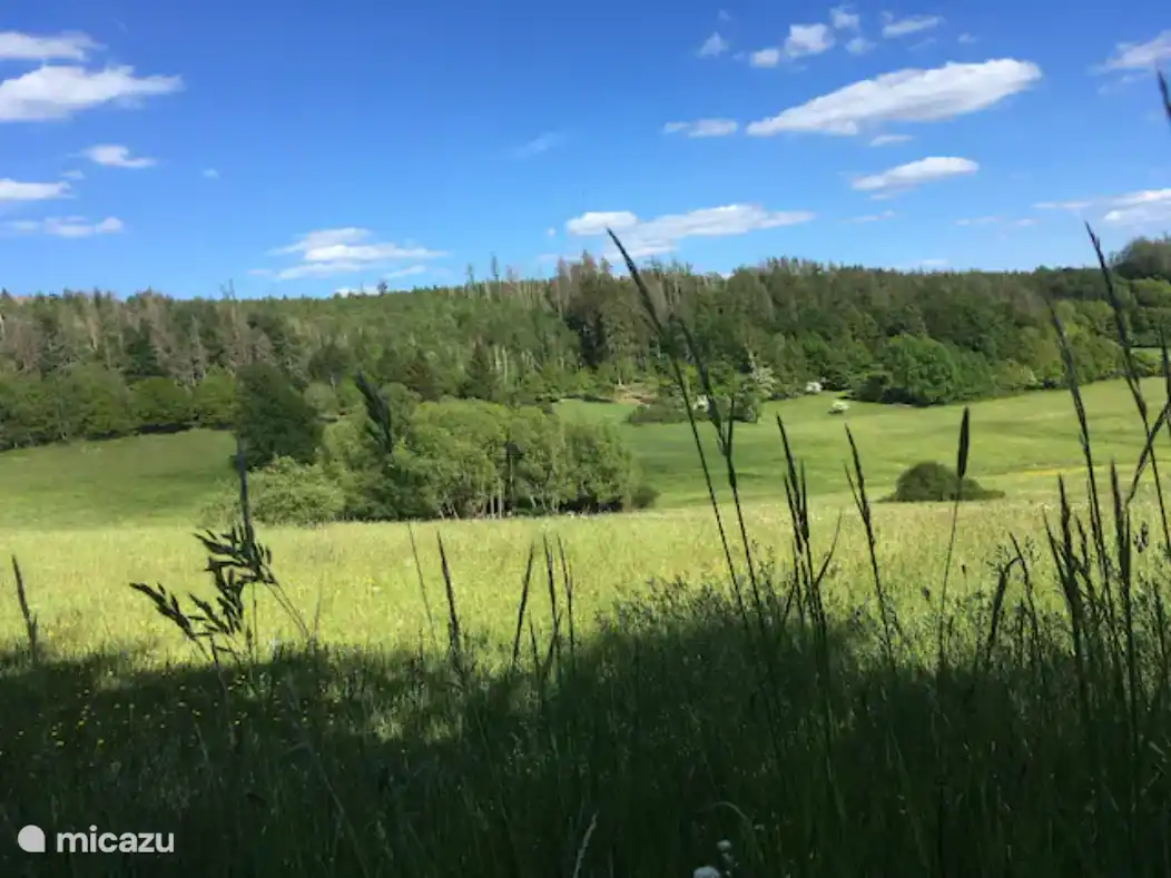 Meadow valley next to the park