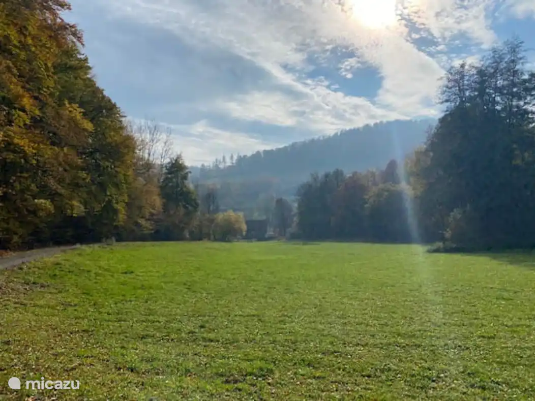 Kellerwald