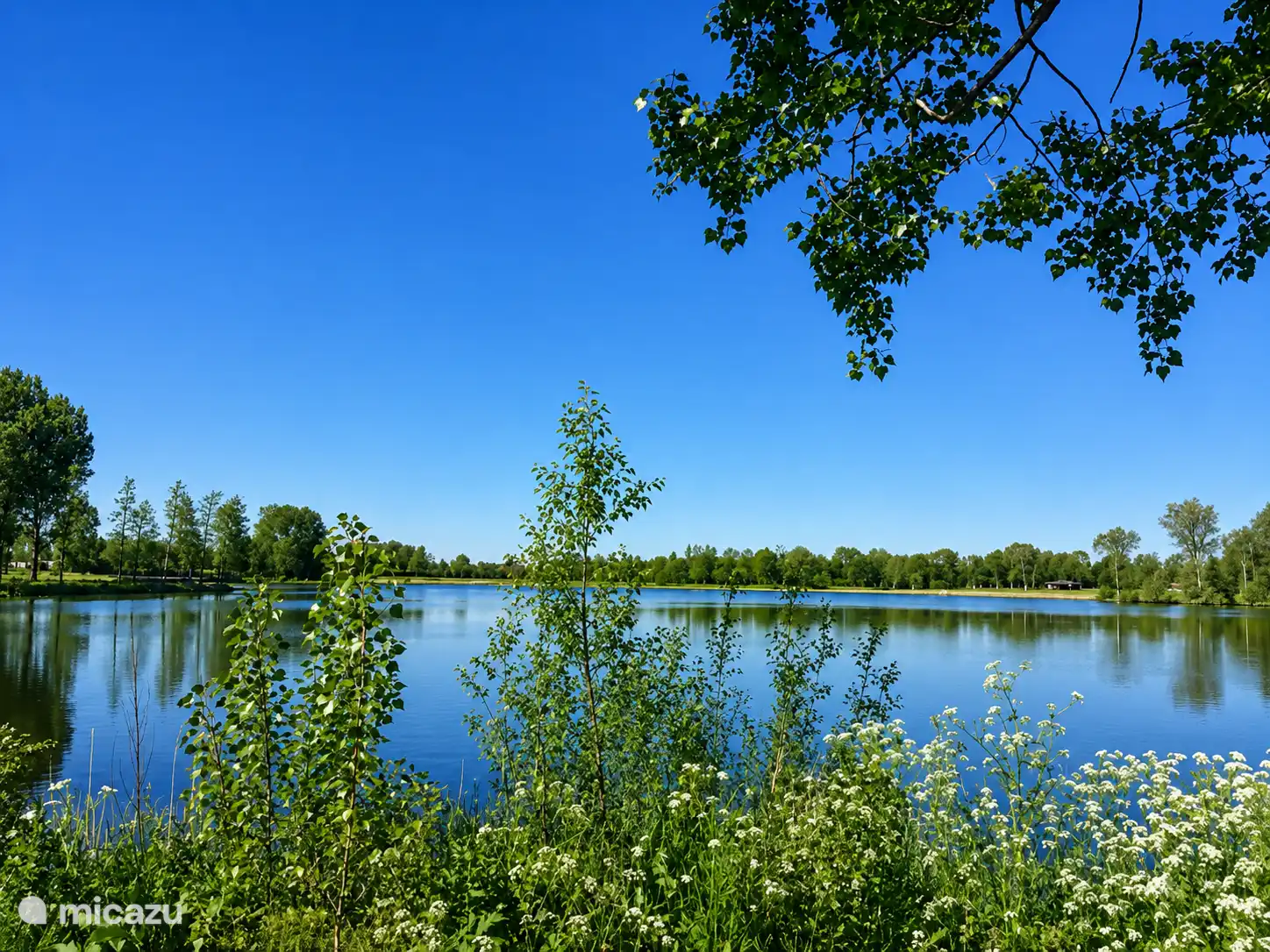 Recreatieplas Slingeplas