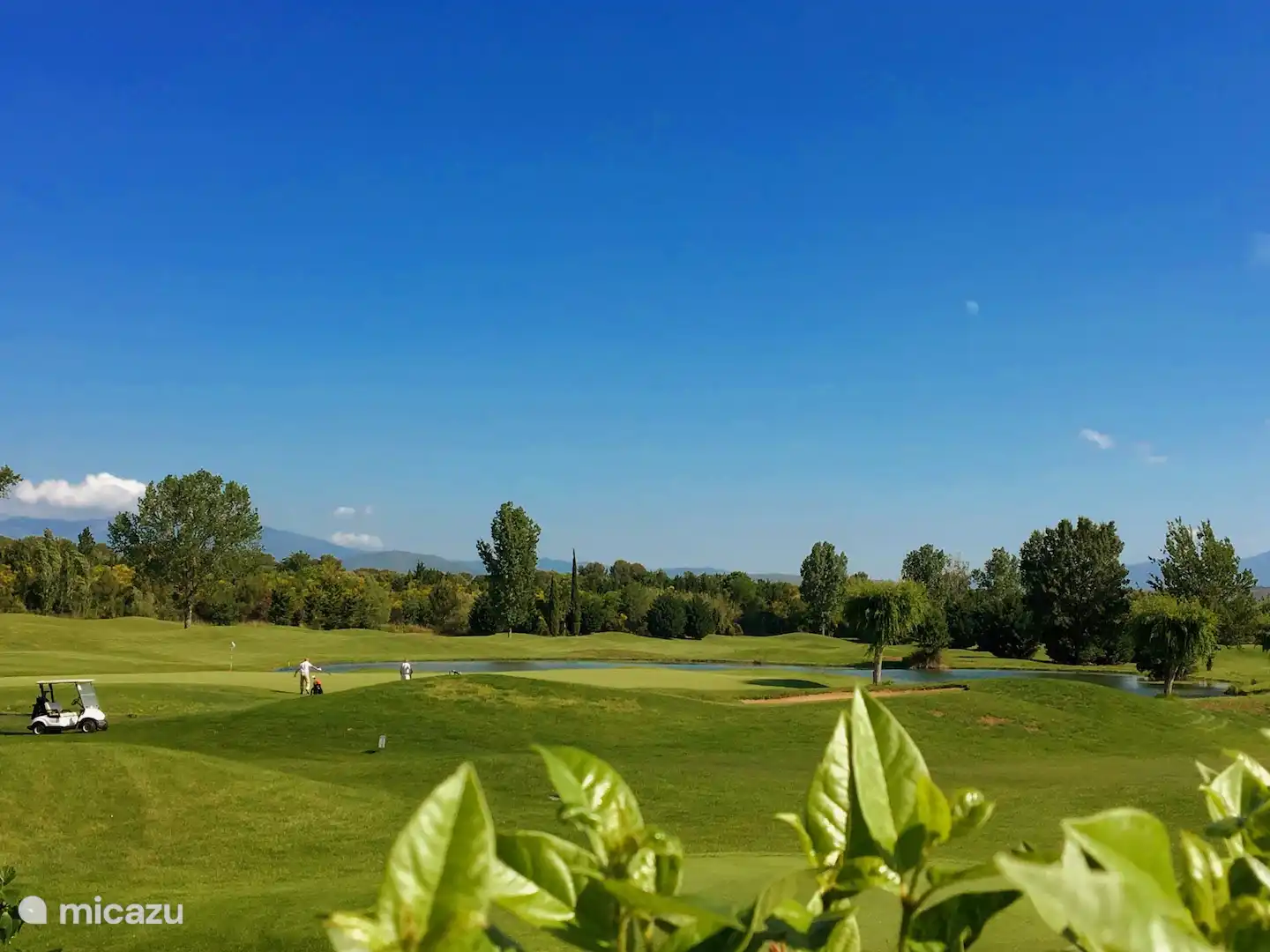 Uitzicht over de golfbaan