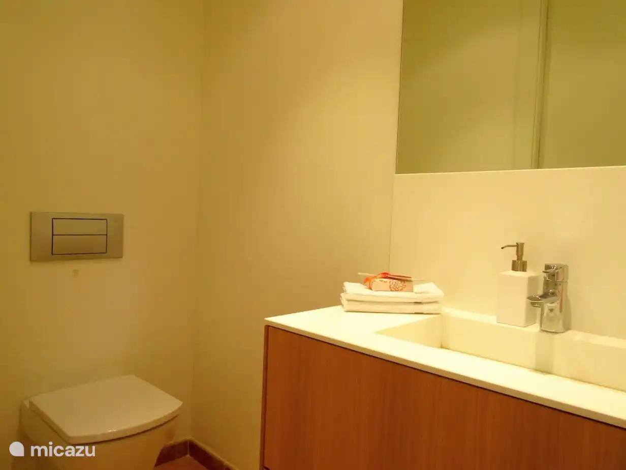 Gastentoilet op begane grond bij entree villa.