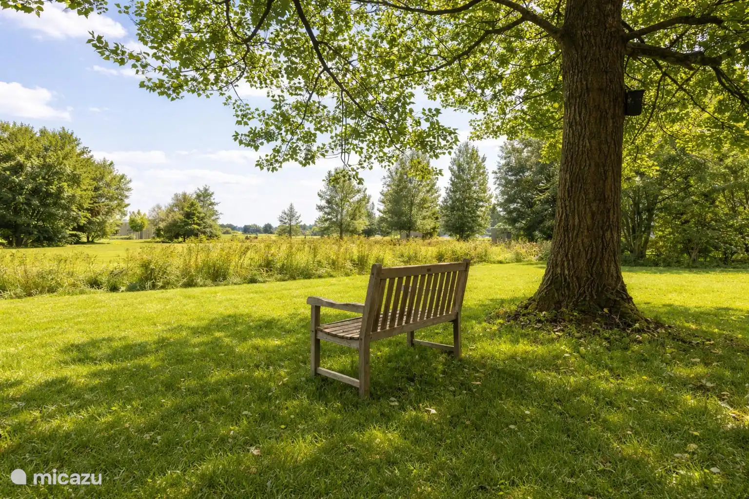 Keukenhoek met uitzicht over het weiland