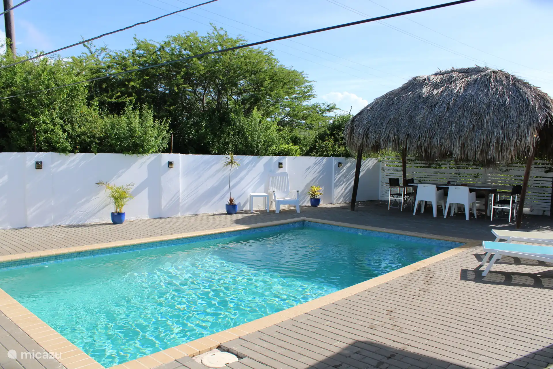 Zwembad met palapa