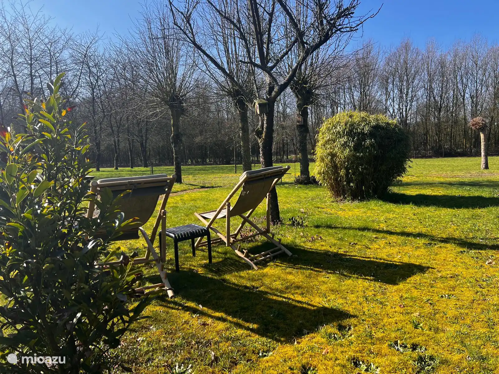 Tuin