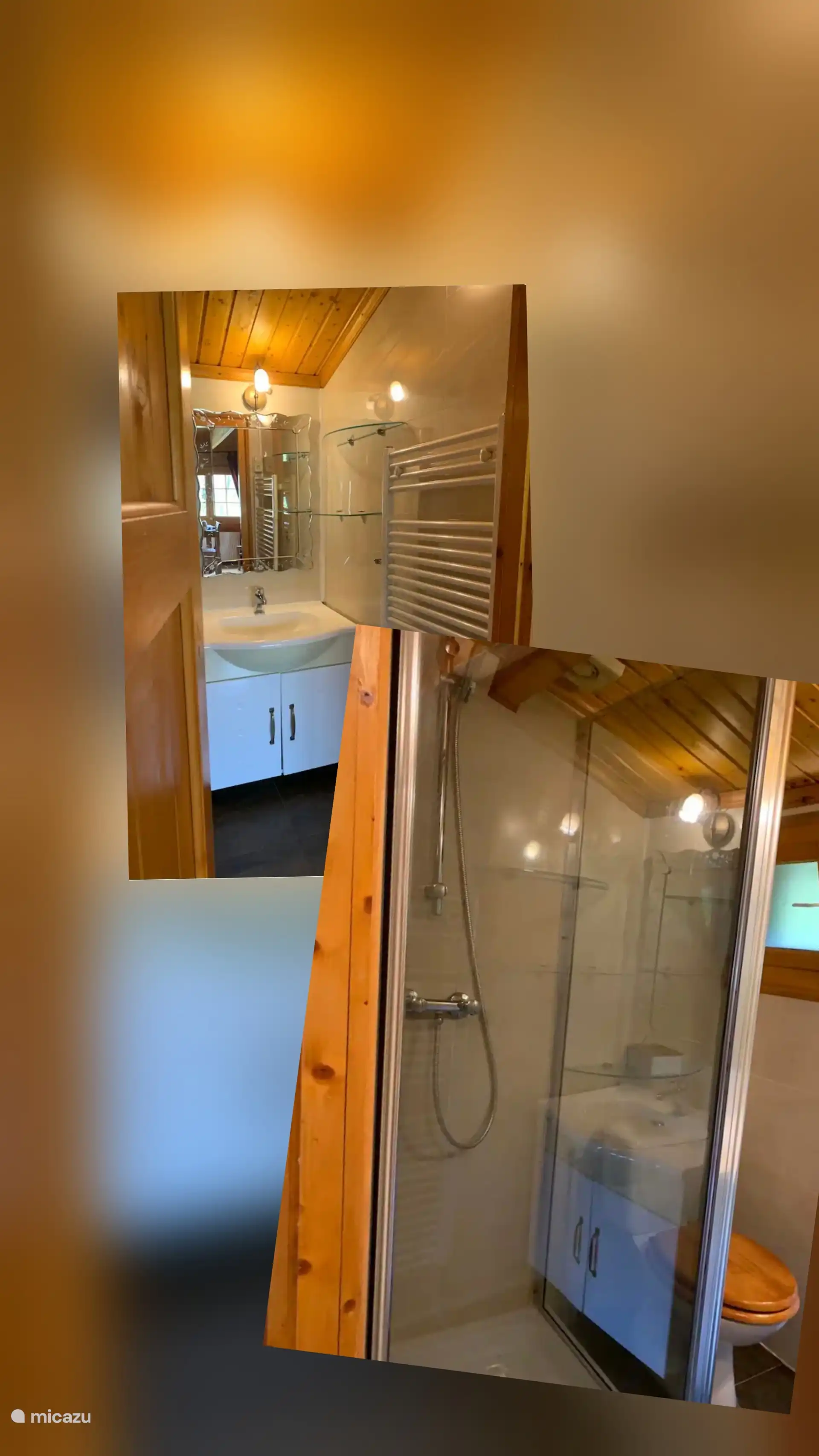 Badkamer met douche,toilet en wastafel.