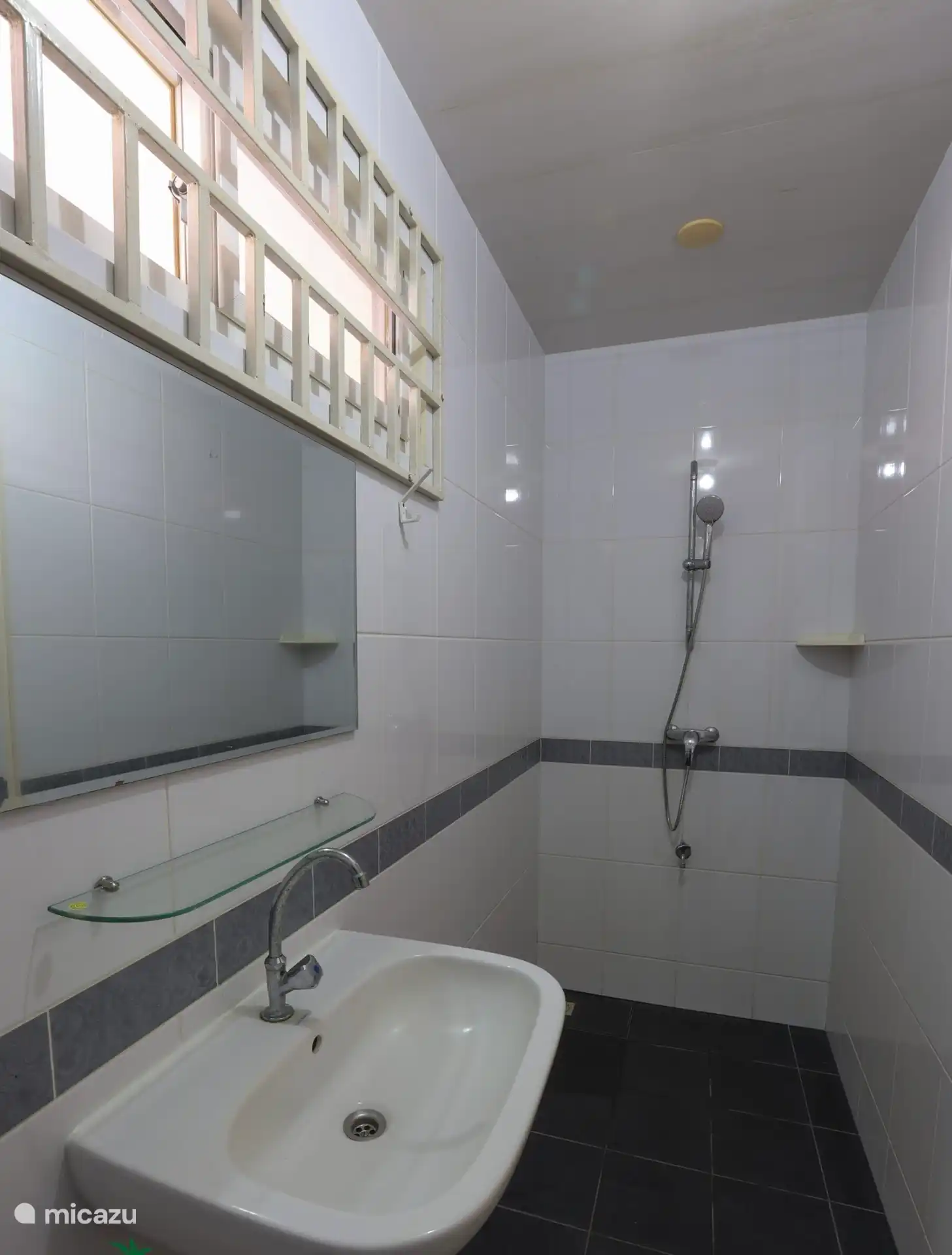 Badkamer met wastafel, douche en wc