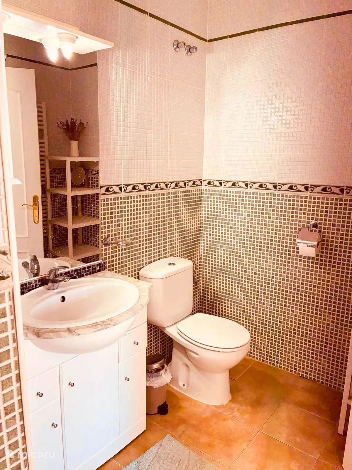 Ensuite bathroom with toilet and sink and walk in shower