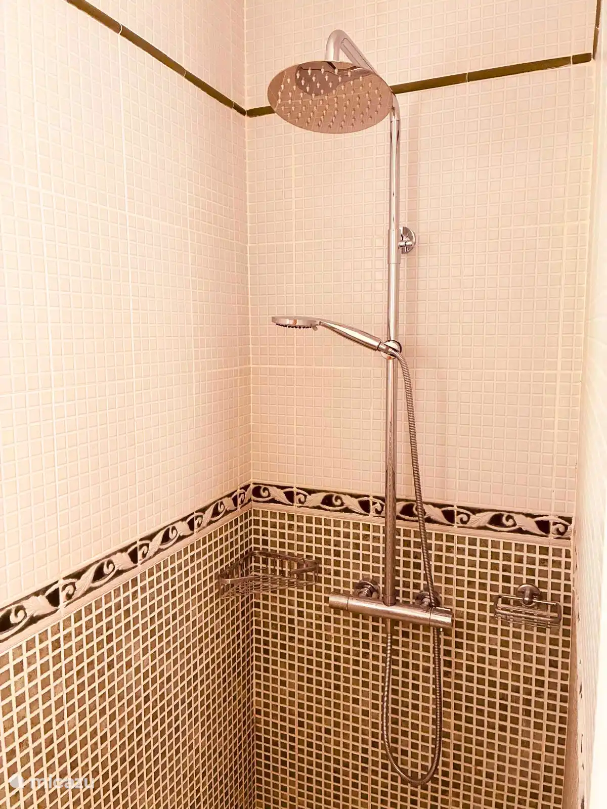 Walk in shower with rain shower and normal shower