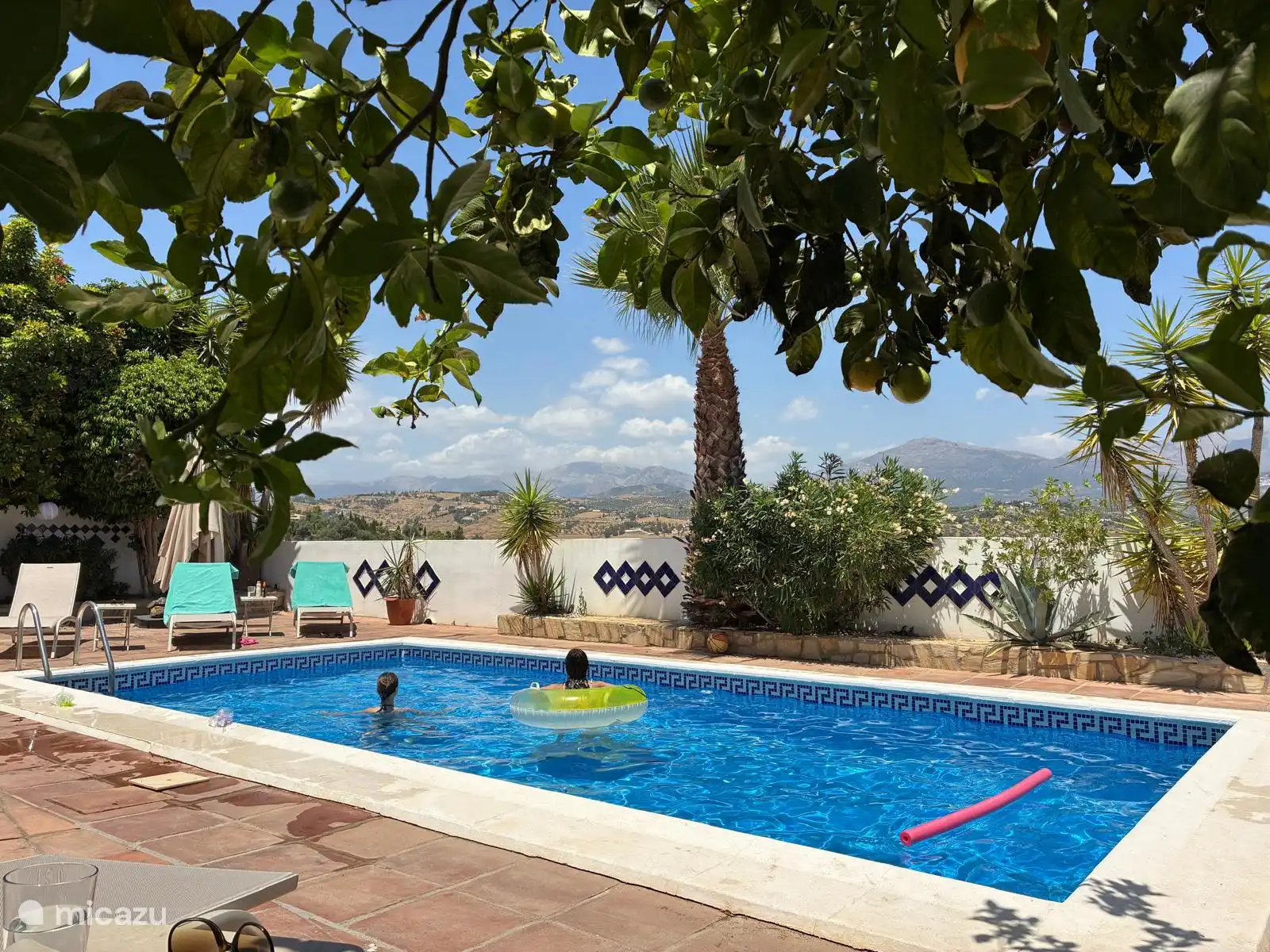 Big pool (8x4 m2) with natural shade and umbrella