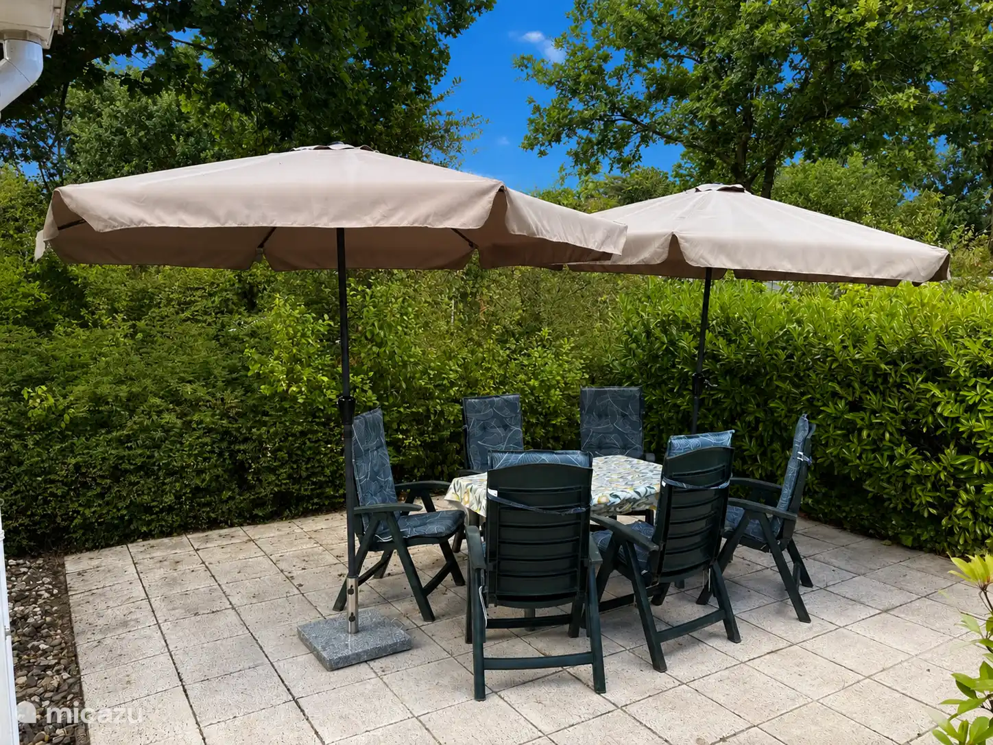 Terras